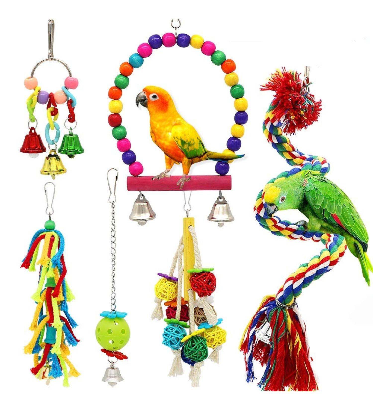 6 PCS Small Bird Swing Toys - Natural Wood & Rope Bungee Bird Toy for Parrots, Parakeets, Cockatiel, Conure, & Other Small Birds - Buy Online on GoSupps.com