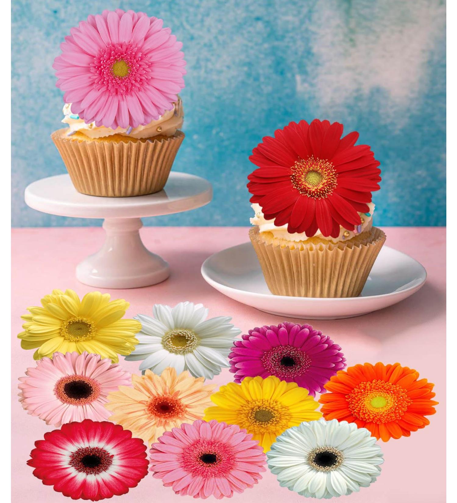Pre-Cut Beautiful Gerbera Daisy A Edible Wafer Paper Flowers Cupcake Toppers Cake Decorations Birthday Party (12) - Buy Online on GoSupps.com