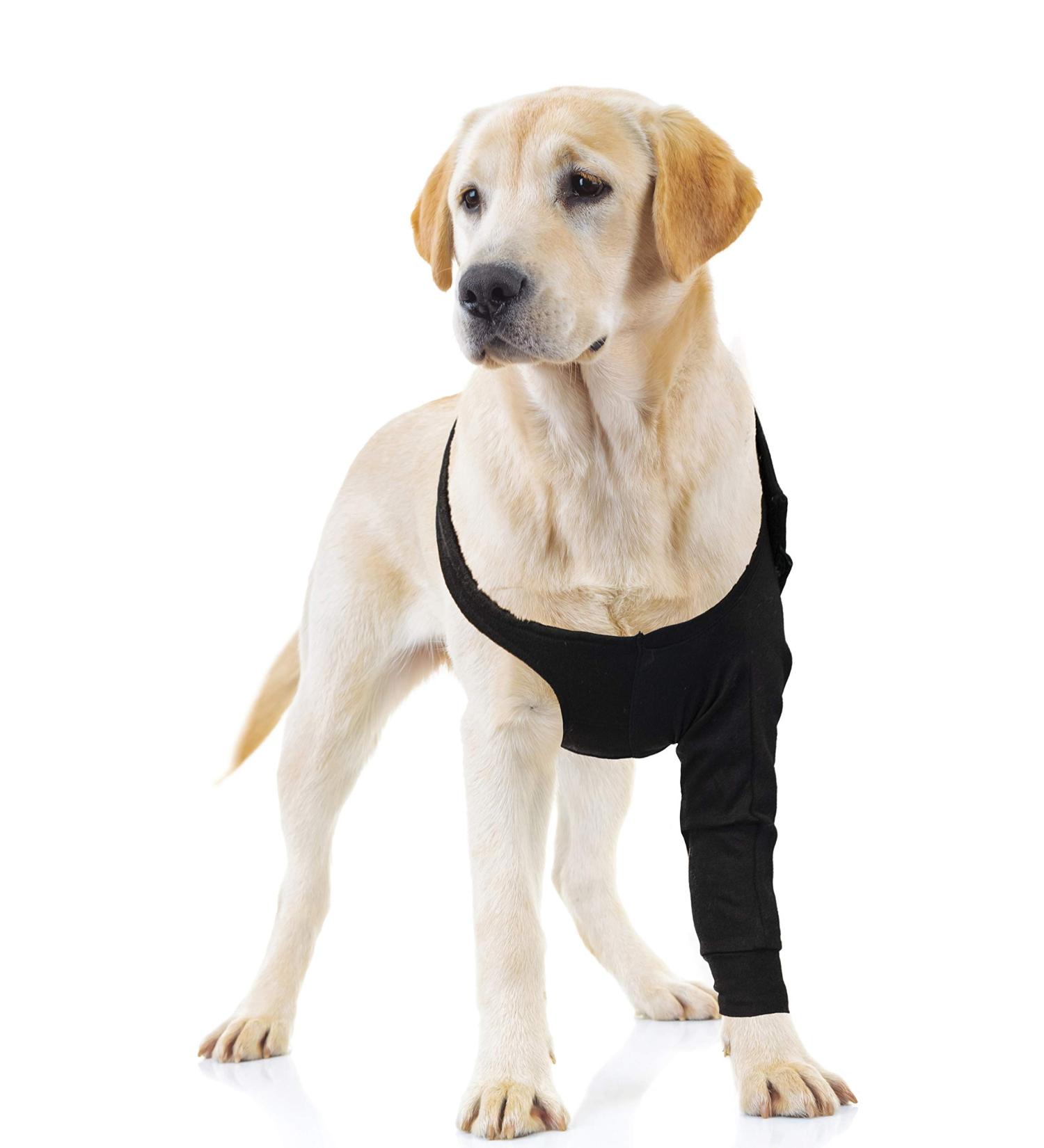 Suitical Recovery Sleeve for Dogs - Size M Black | Perfect Post-Surgery Solution - Shop Internationally! - Buy Online on GoSupps.com