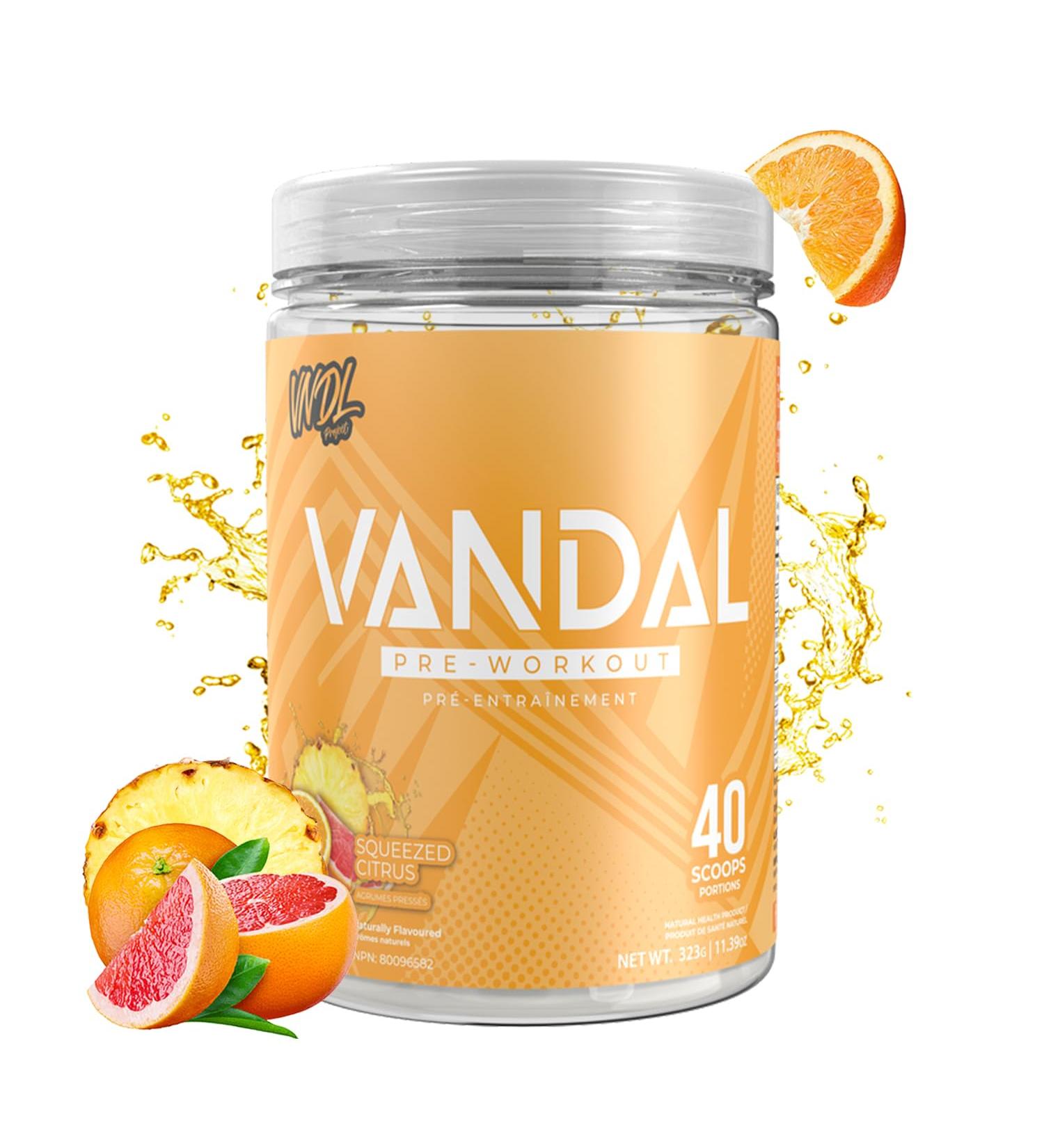 Vandal | Pre Workout Powder - Safe Nootropic Pre Workout Supplement for Men & Women | Boosts Energy Focus Performance & Recovery | Nitric Oxide Booster for Blood Flow | 40 Servings (Squeezed Citrus) - Buy Online on GoSupps.com