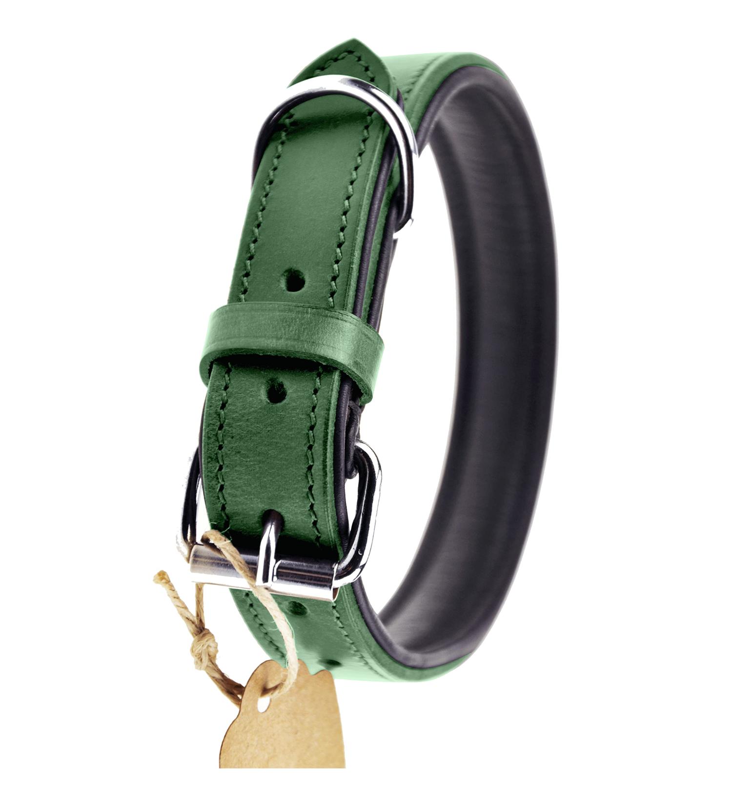 Sniffing Fans Leather Dog Collar - Padded and Robust for Large Medium & Small Dogs (S - 24-30cm Green) - International Shipping - Buy Online on GoSupps.com