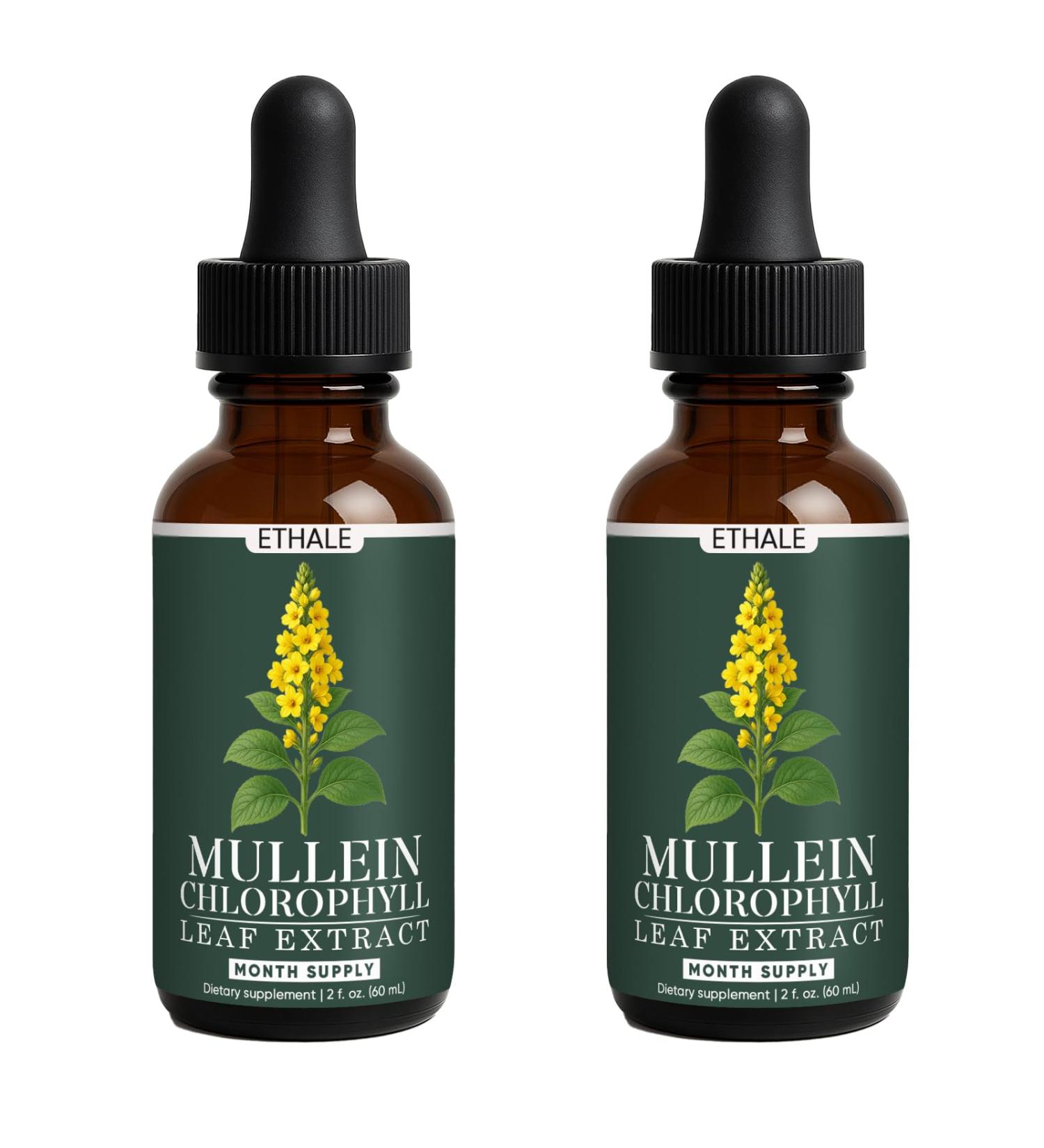 FITactic ETHALE Mullein Drops for Lungs Mullein + Chlorophyll Lung Drops Mullein Leaf Extract with Chlorophyll Mullein Leaf Extract for Lung Cleanse and Respiratory Support (2) - Buy Online on GoSupps.com