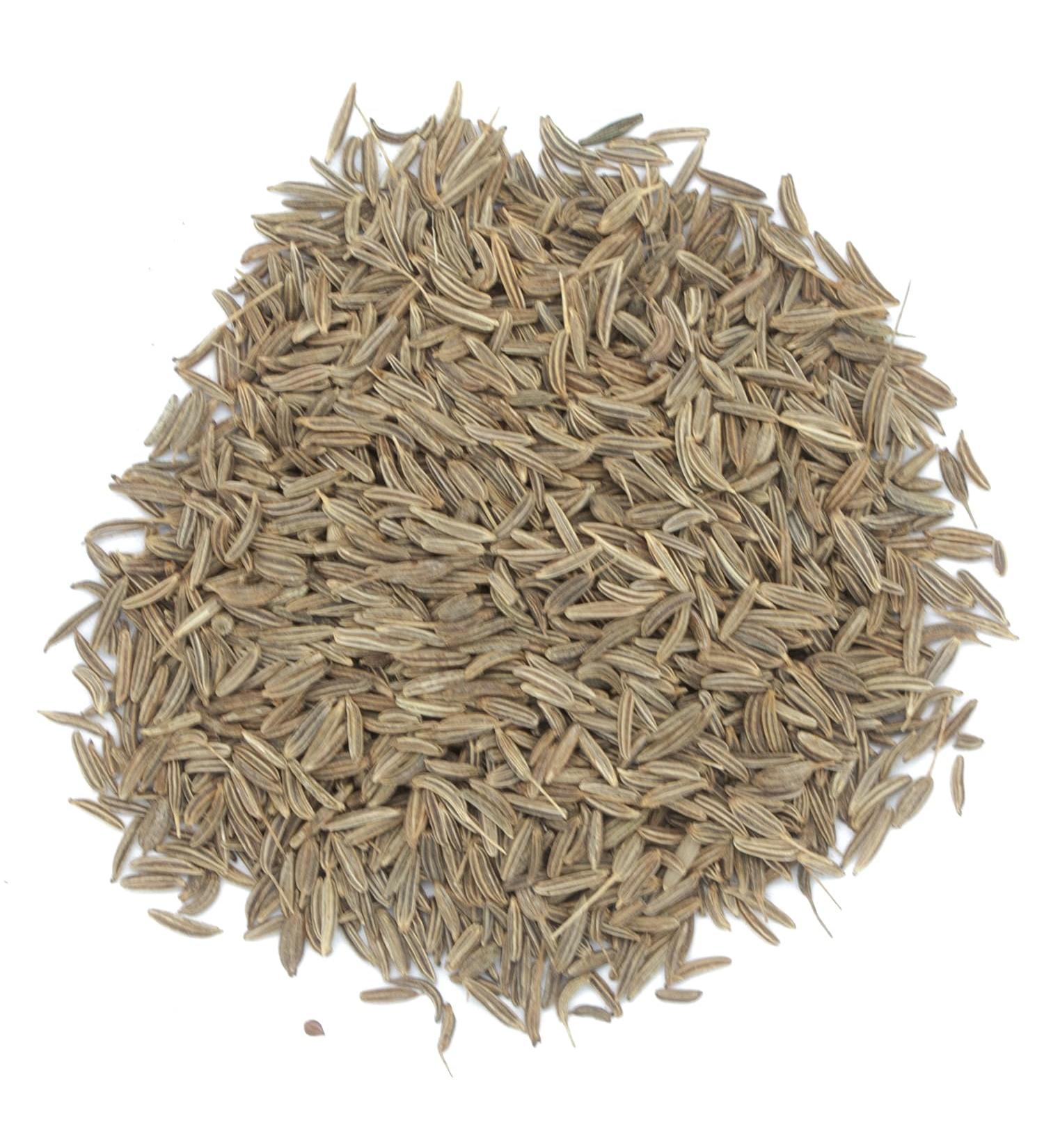 Carvi en graines - Sachet de 5 kg 5 kg (Lot de 1)