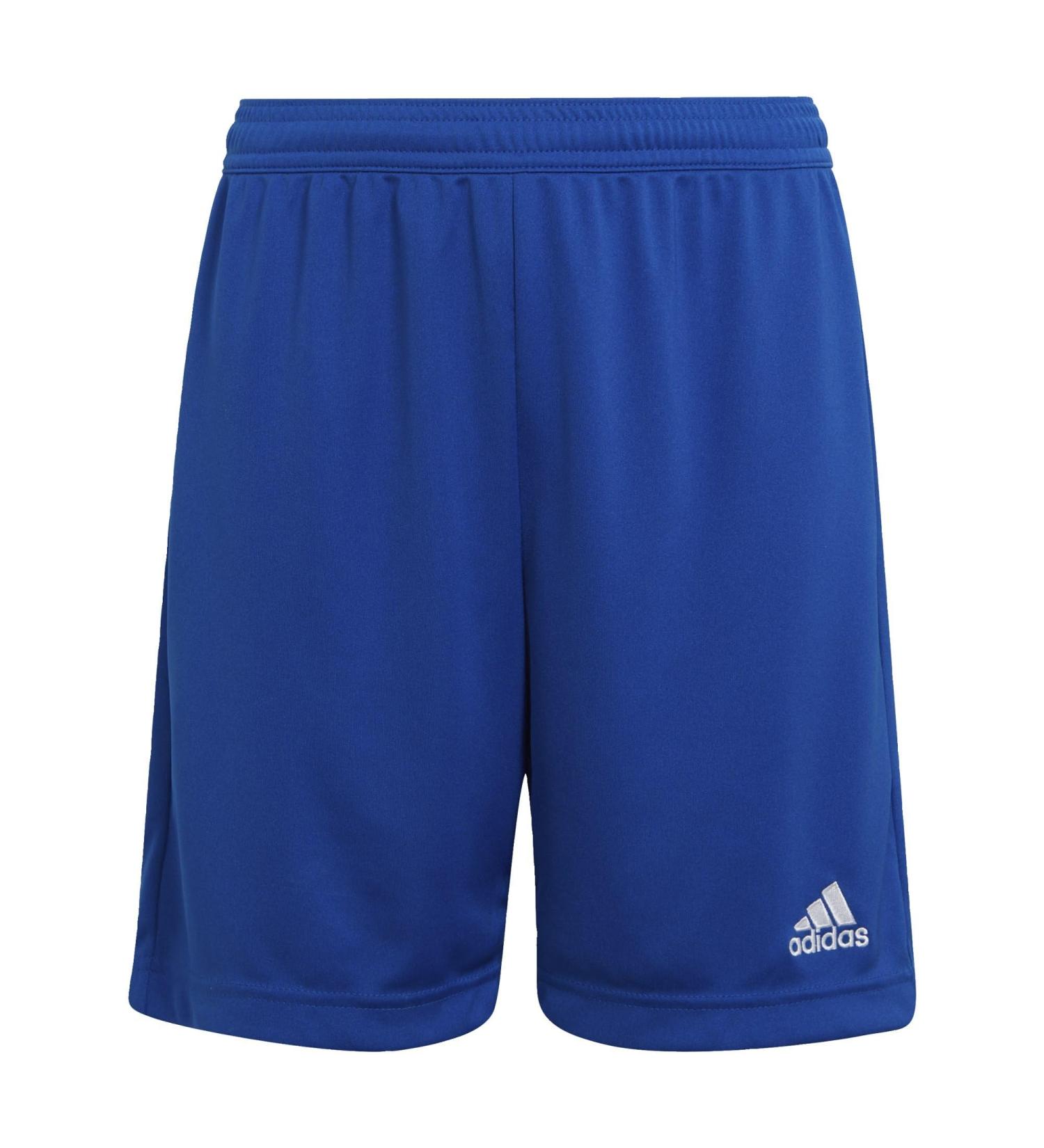 Buy adidas Unisex Kids Entrada 22 Shorts | Team Royal Blue | Ages 13-14 | International Shipping - Buy Online on GoSupps.com