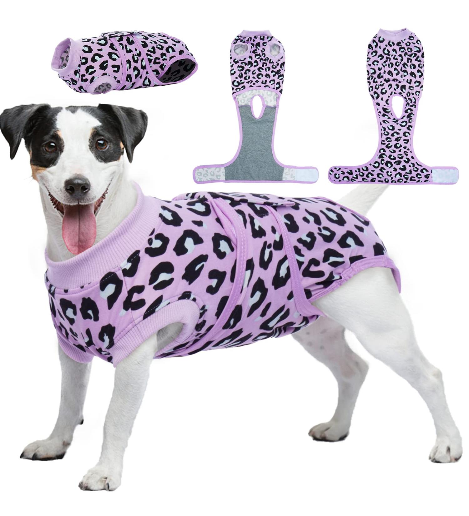 Kuoser Dog Body after Surgery | Breathable & Anti-Licking Relief for Dogs & Cats - XS Purple - Buy Online on GoSupps.com