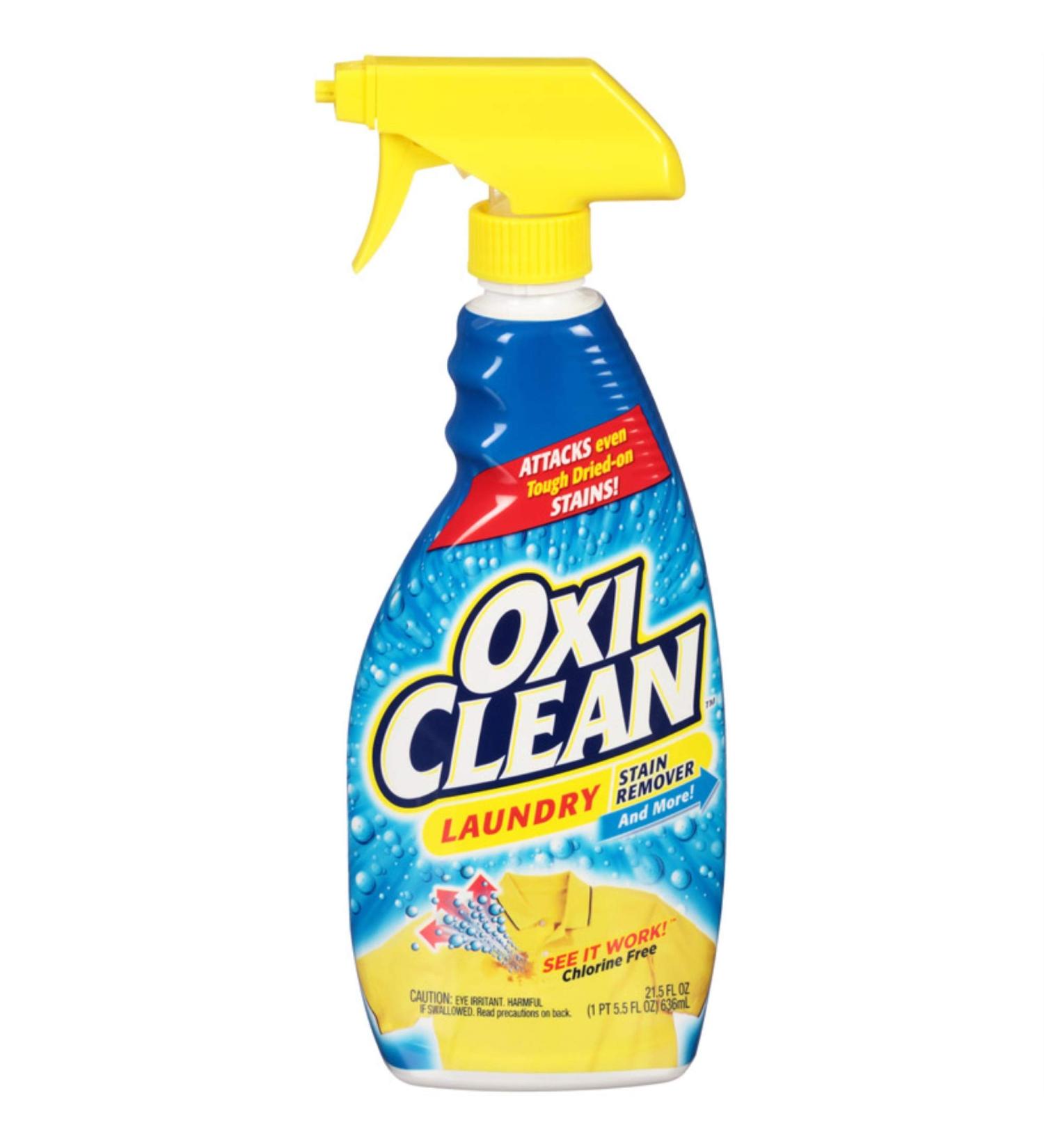 STAIN REMR LANDRY 21.5OZ