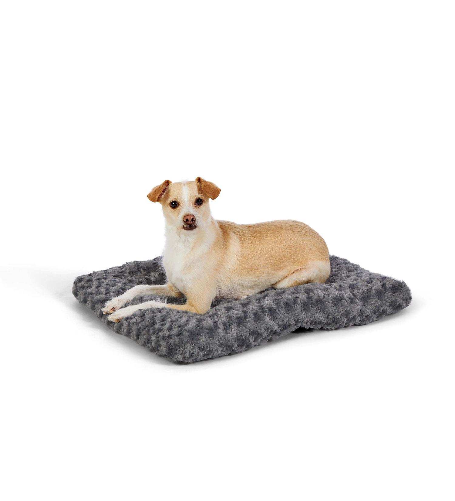 Amazon Basics Plush Dog Bed Pad - 23 Inch - Buy Online on GoSupps.com