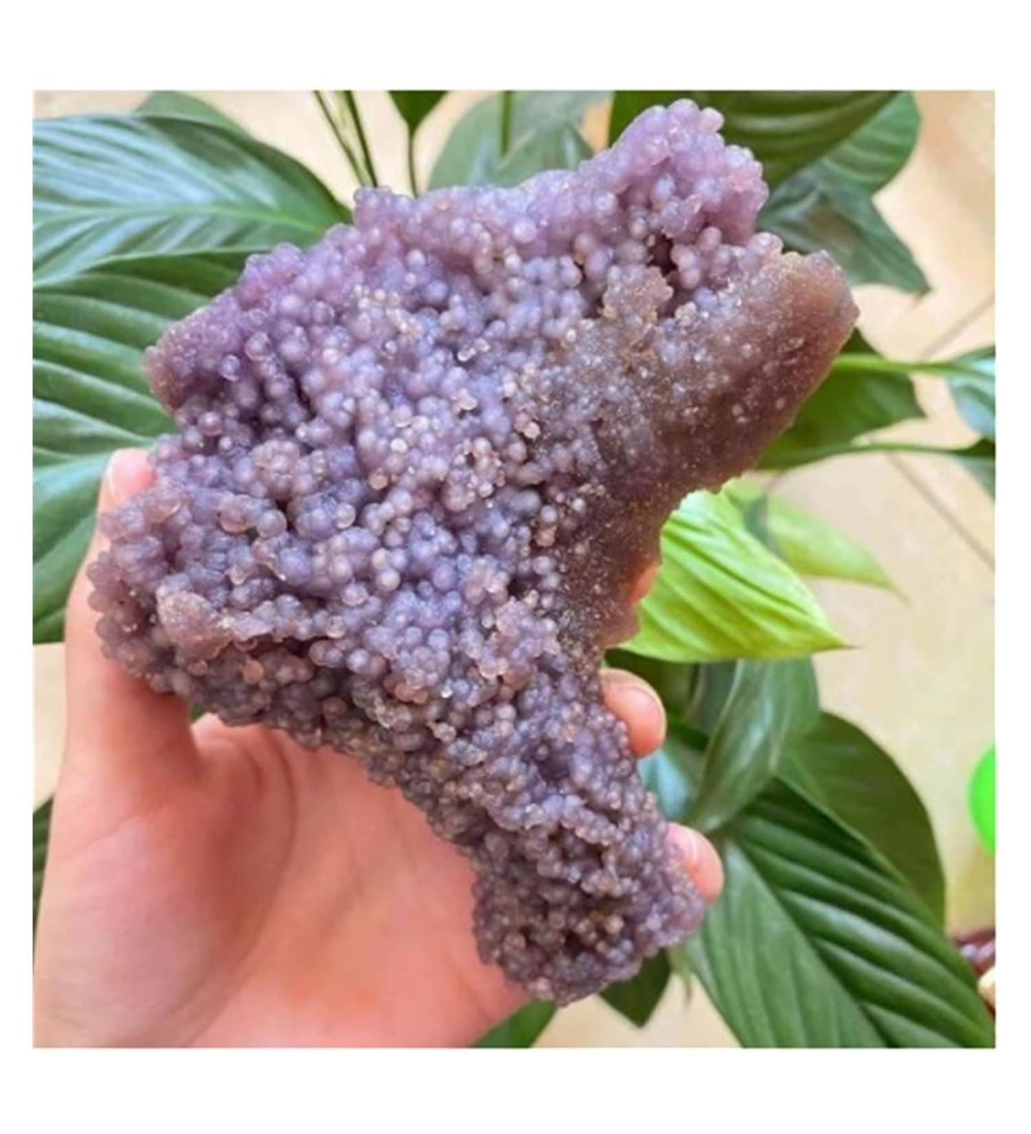 Gemstones and Crystals 20-140g Natural Grape Agate Crystal Specimen Home Decor QINTINYIN Full of Texture (Size : 100-110g) - Buy Online on GoSupps.com