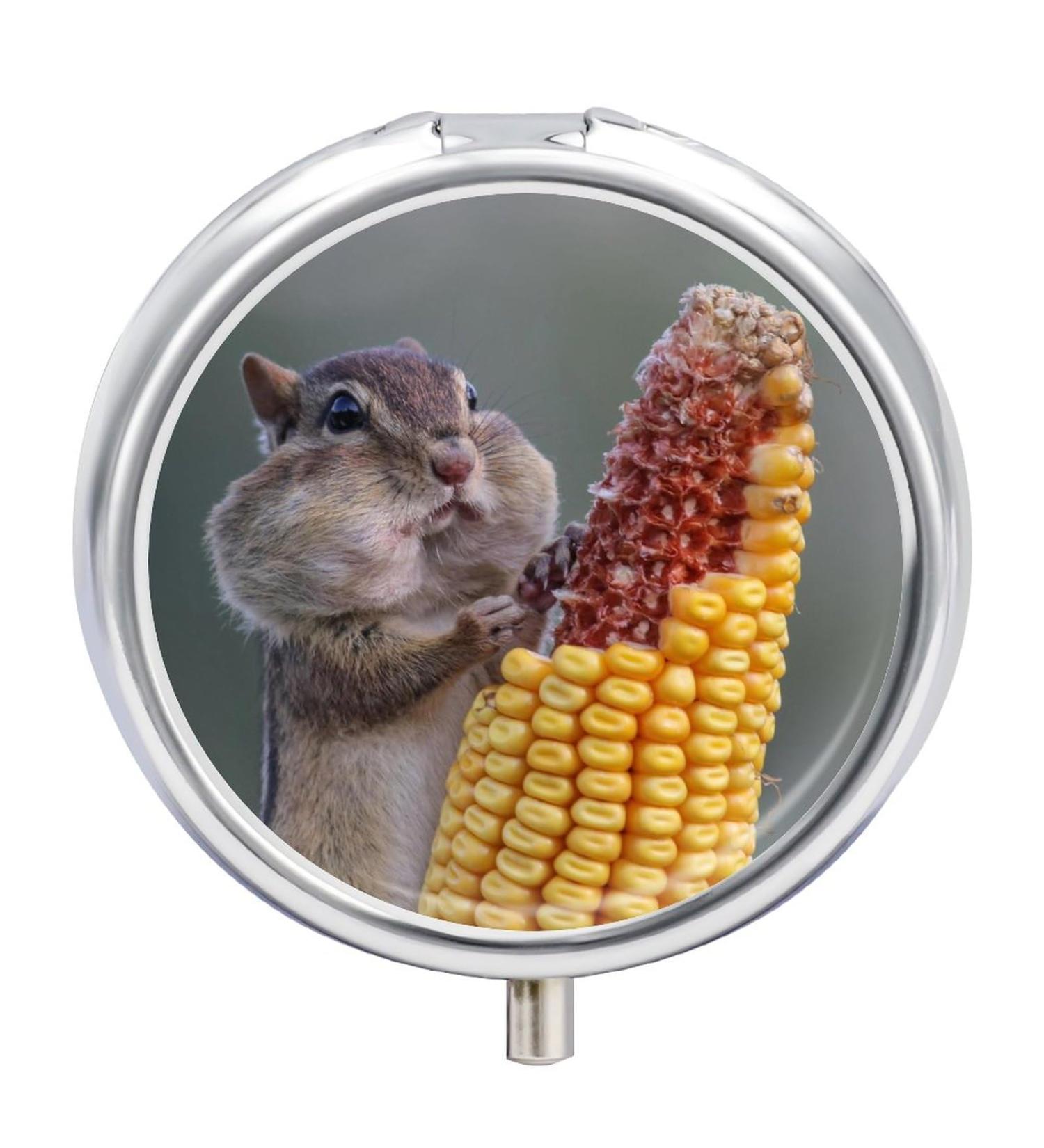 Small Travel Pill Case - Round Metal Pill Box 3 Compartment Portable Organizer for Daily & Travel - Hamster Design - Buy Online on GoSupps.com