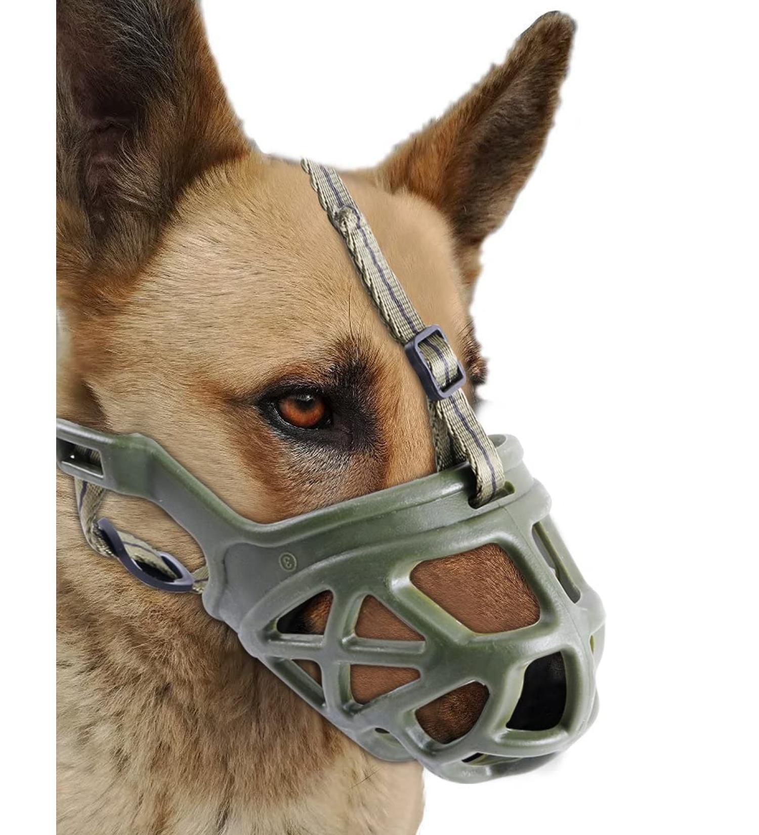 Breathable Dog Muzzle - Secure Basket Muzzle for Small Medium & Large Dogs - Prevents Biting Barking & Chewing - Ideal for Aggressive Dogs - Medium Green - Buy Online on GoSupps.com