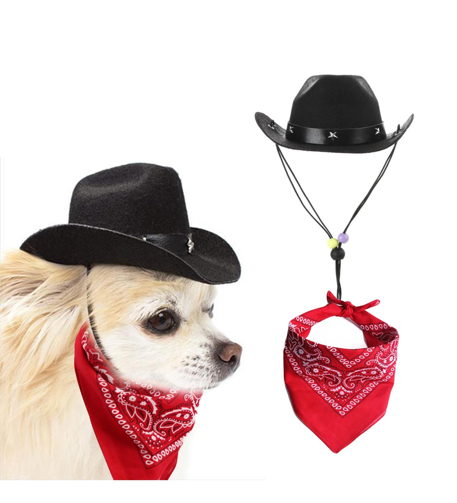 AWOCAN Dog Cowboy Hat and Bandana Set - Pet Costume for Cosplay Parties - Black - Buy Online on GoSupps.com