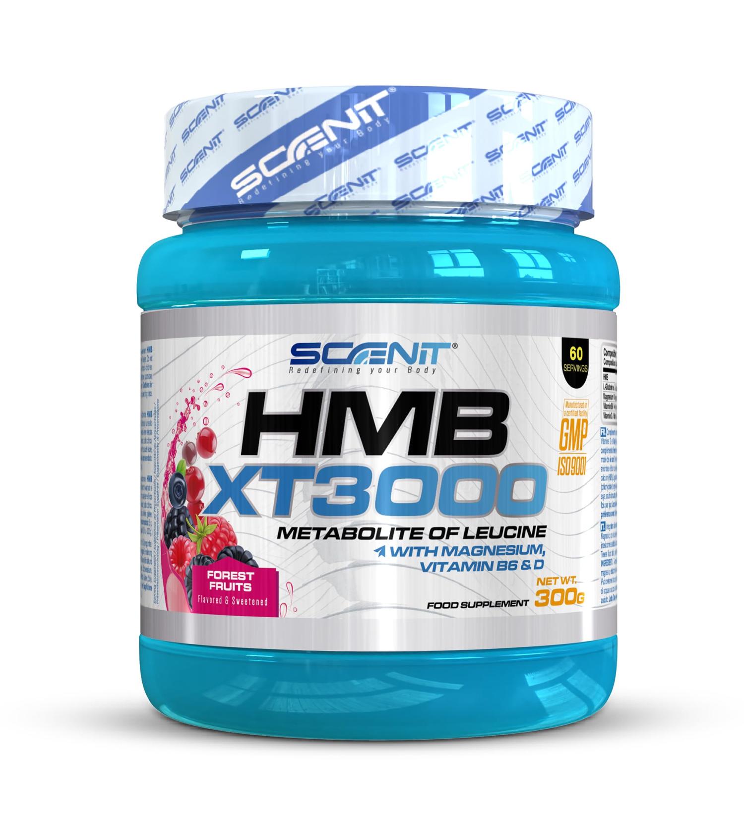 HMB XT 3000 - Enhanced HMB Powder Supplement with Glutamine Magnesium Vitamin B6 & D - Delicious Forest Fruits Flavor - 3000 mg HMB for Optimal Performance - Buy Online on GoSupps.com