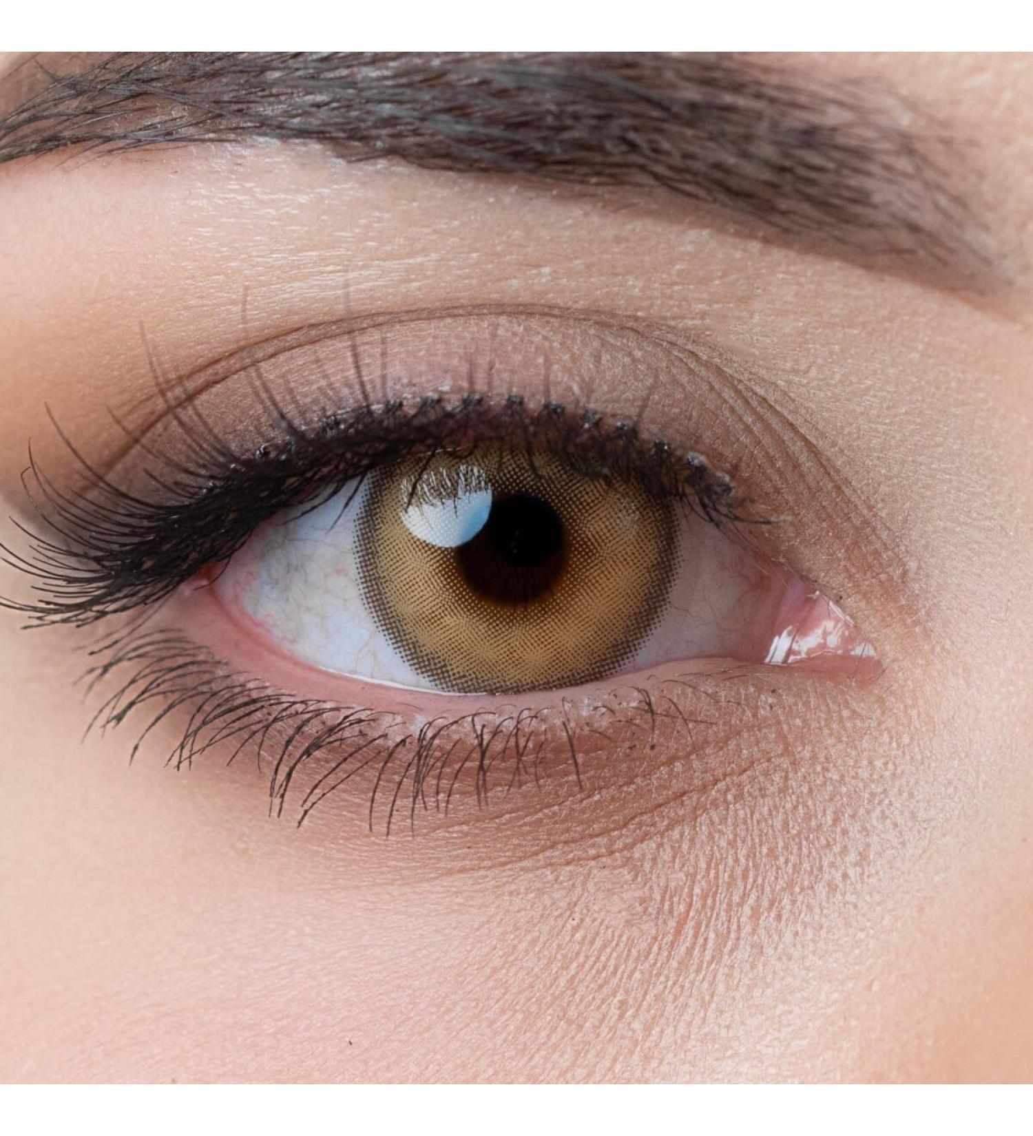 Buy Charmiga Sunny Brown Colored Contact Lenses | Annual Hydrogel Brown Lenses | 0.0 Diopters | Includes 2 Lenses & Cases - Shop Now! - Buy Online on GoSupps.com