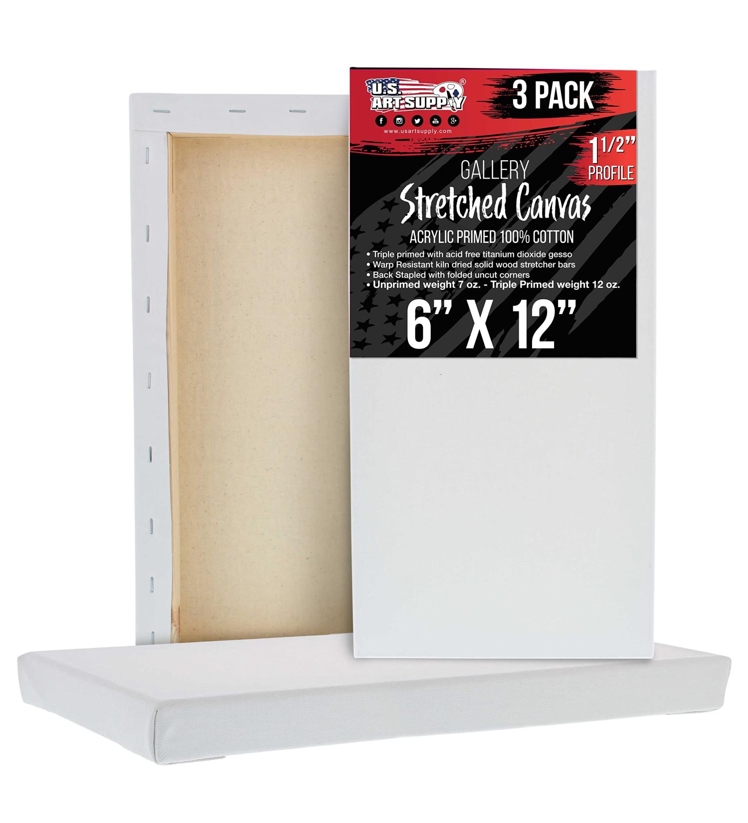 U.S. Art Supply 6x12 Gallery Depth Stretched Canvas 3-Pack - Triple Primed 100% Cotton for Acrylic Pouring Art - Buy Online on GoSupps.com