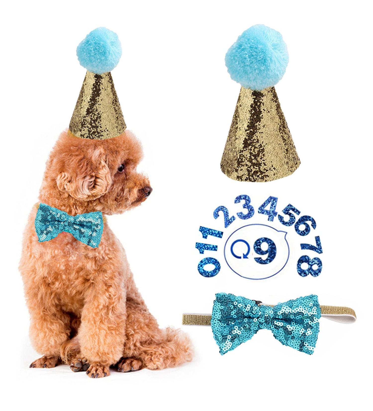Dog Birthday Hat & Collar Set - Reusable Light Blue Party Accessories for Pets - Perfect for Puppies & Cats - Buy Online on GoSupps.com
