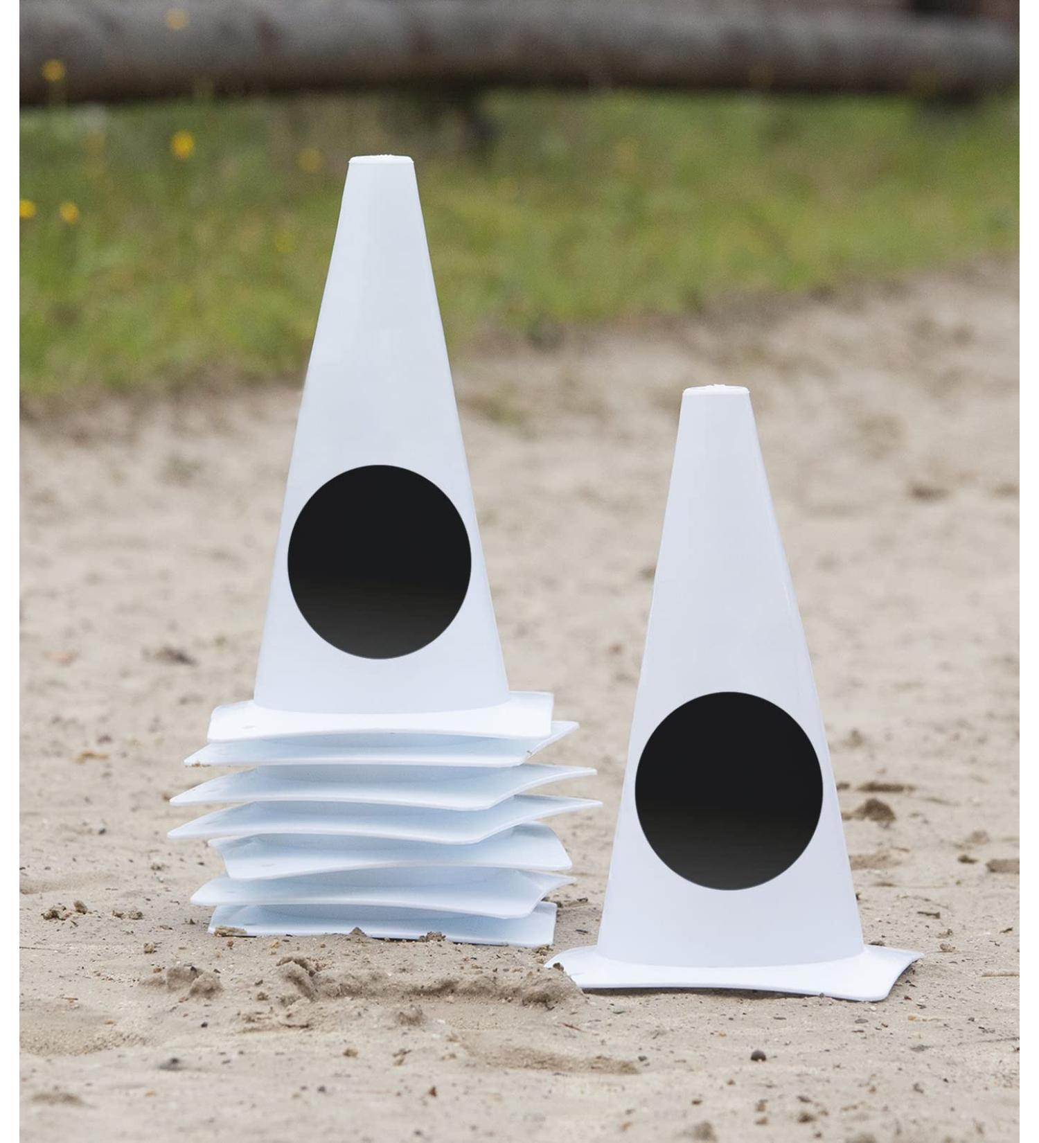 WALDHAUSEN track pylons compass points white