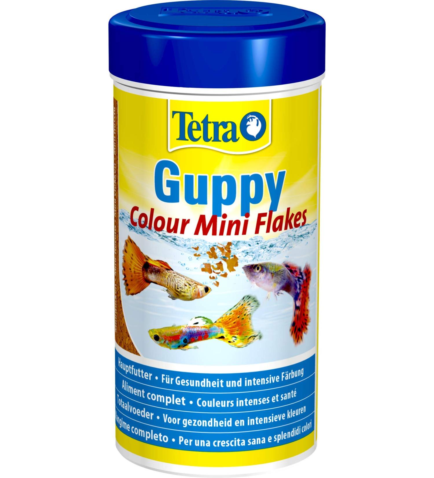 Tetra Guppy Color Premium Flake Food 250ml - Best Mini Flakes for Healthy Guppies | International Shipping Available - Buy Online on GoSupps.com