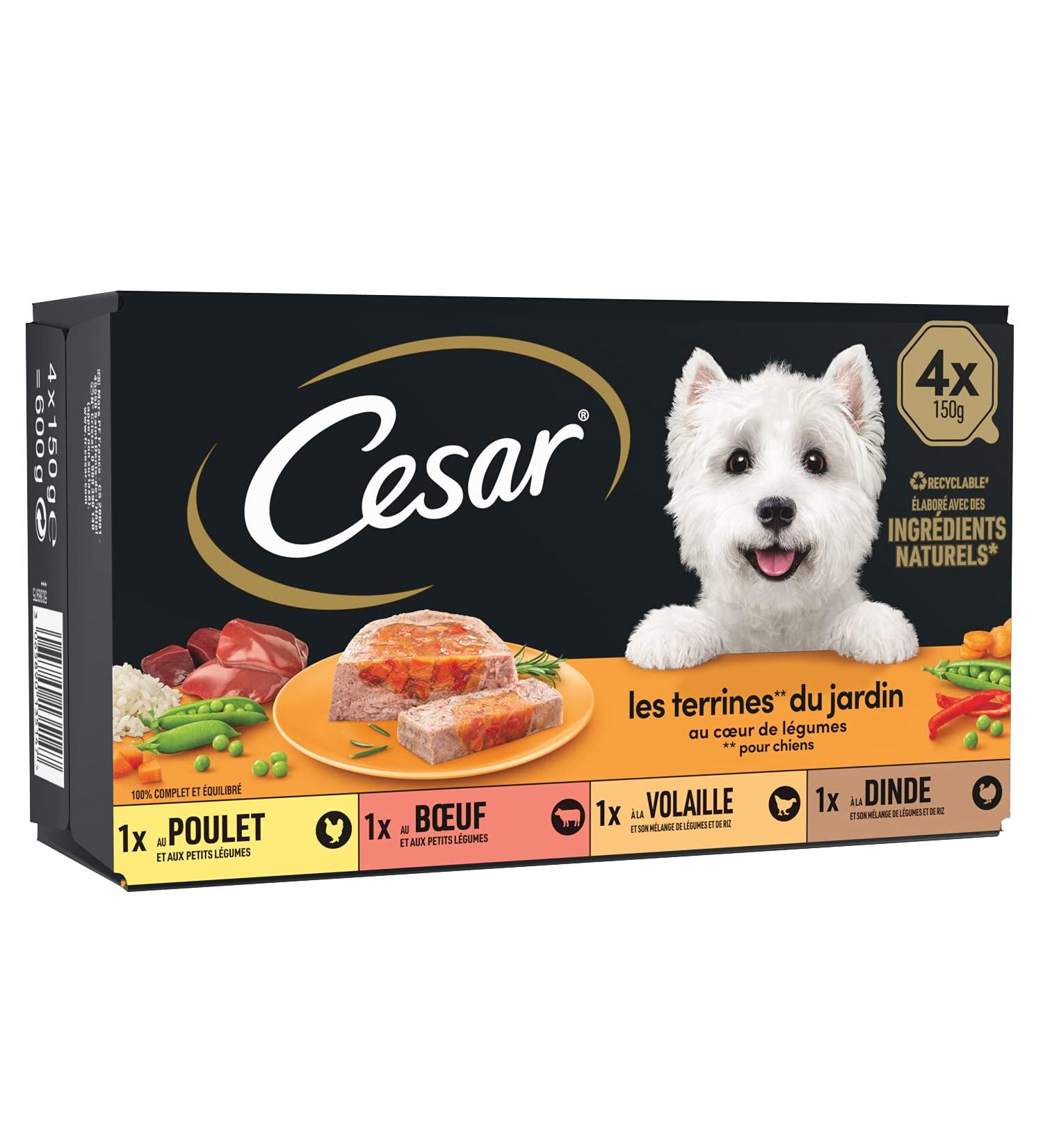 CESAR Dog Meals - 24 Trays (Pack of 6 Packs of 4x150g) - Dog Food in a Vegetable Heart Terrine - with Beef / Chicken / Poultry / Turkey with Natural Ingredients - Buy Online on GoSupps.com
