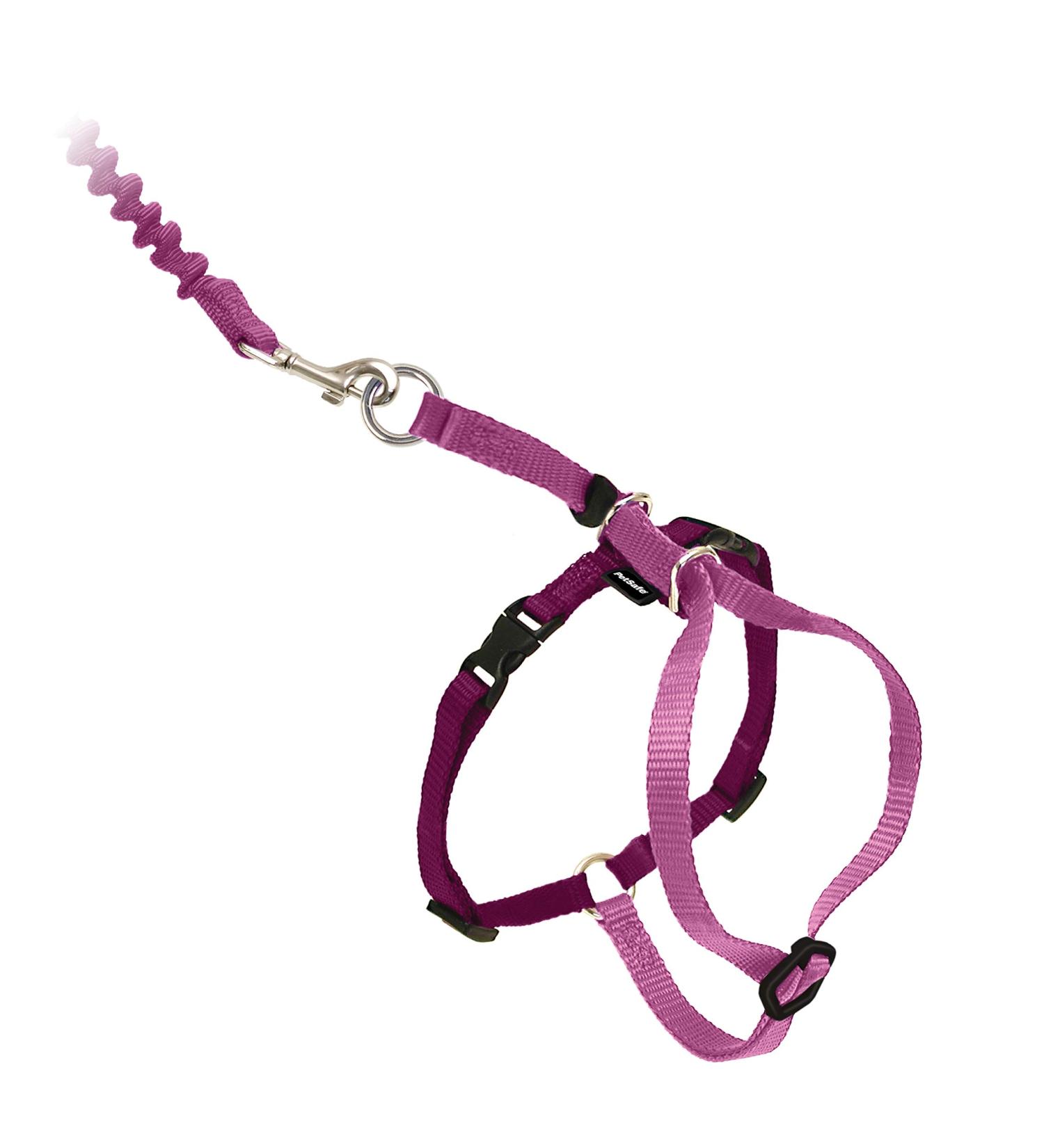 PetSafe Come With Me Kitty Dishes & Bungee Leash - Medium Dusty Rose/Burgundy for Cats | International Shipping - Buy Online on GoSupps.com