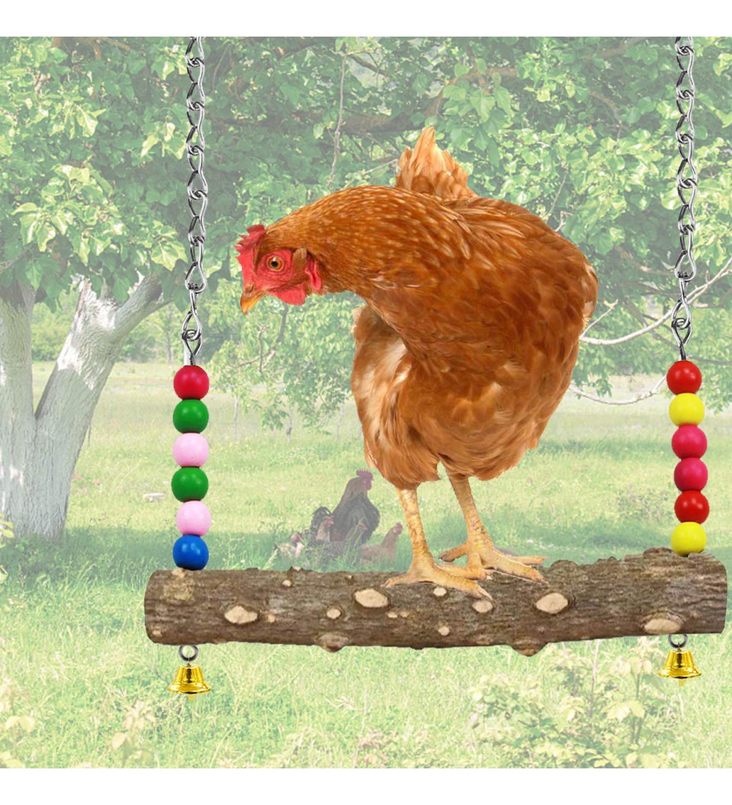 NCTP Handmade Chicken Swing Toy with Natural Wooden Perch Stand for Hens - Perfect for Parrots, Macaws, and Bird Training - Buy Online on GoSupps.com