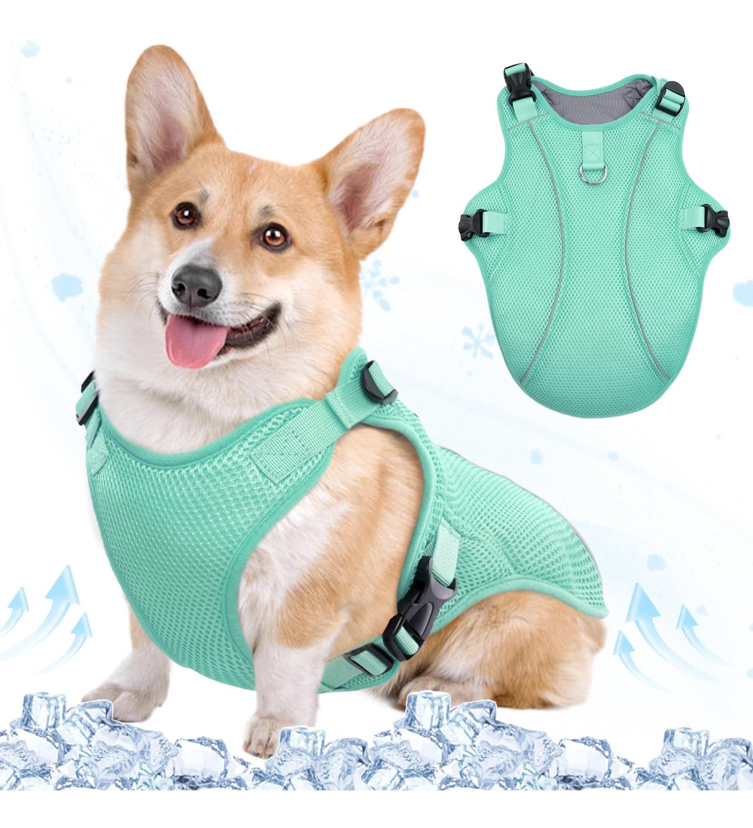 Kuoser Cooling Vest for Dogs | Premium Dog Cooling Jacket & Coat for Outdoor Activities | Perfect for Training & Hot Weather - Buy Online on GoSupps.com