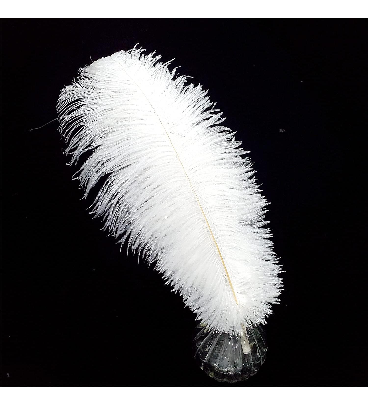 White Ostrich Feathers Craft Pack - 10pcs, 16-18 inch for Wedding, Party, DIY Decor - Buy Online on GoSupps.com