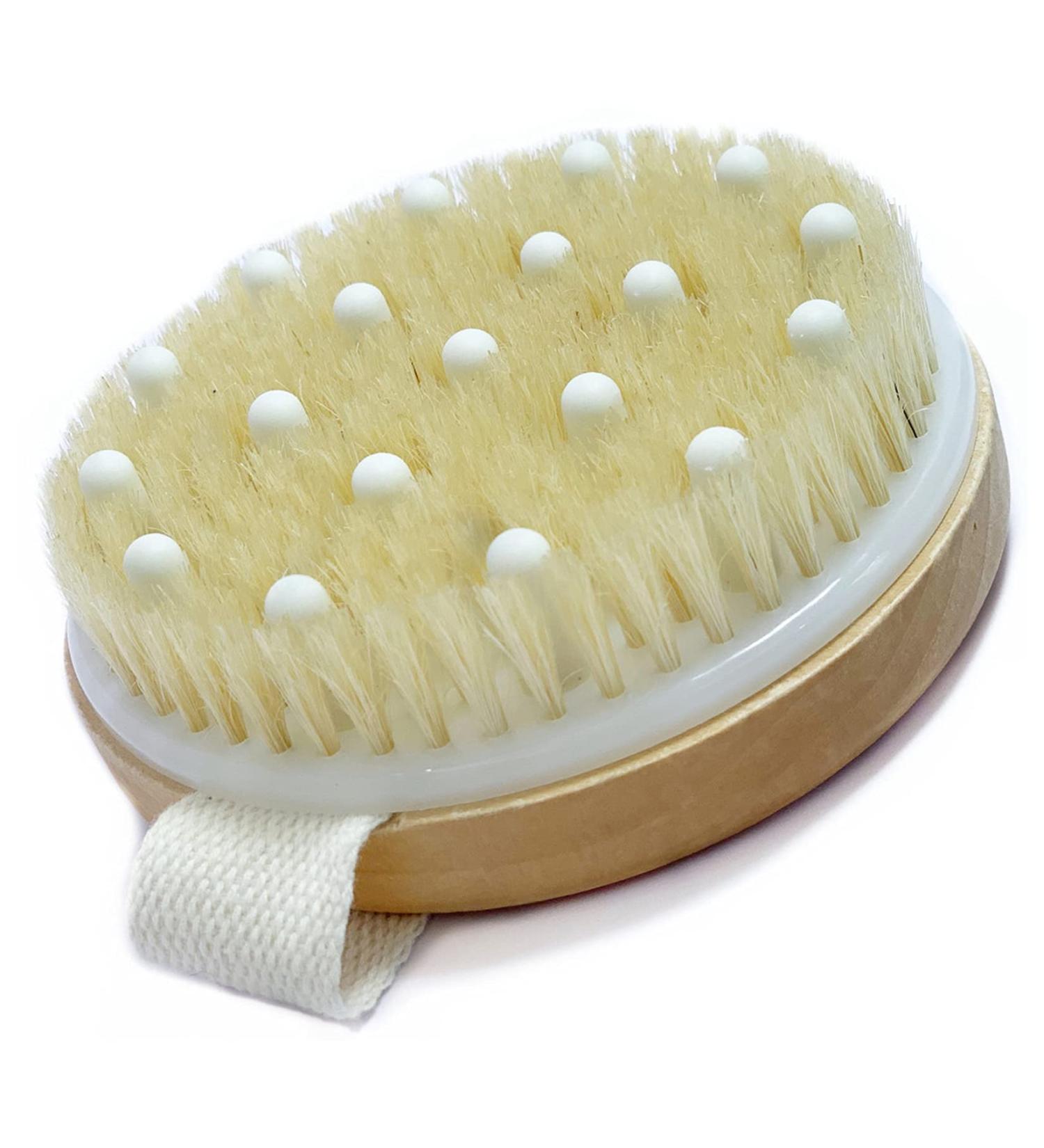 Body Brush for Wet or Dry Exfoliating | Gentle Massage Nodes | Cellulite and Dry Skin Treatment | Improve Circulation | 1 Count - Buy Online on GoSupps.com