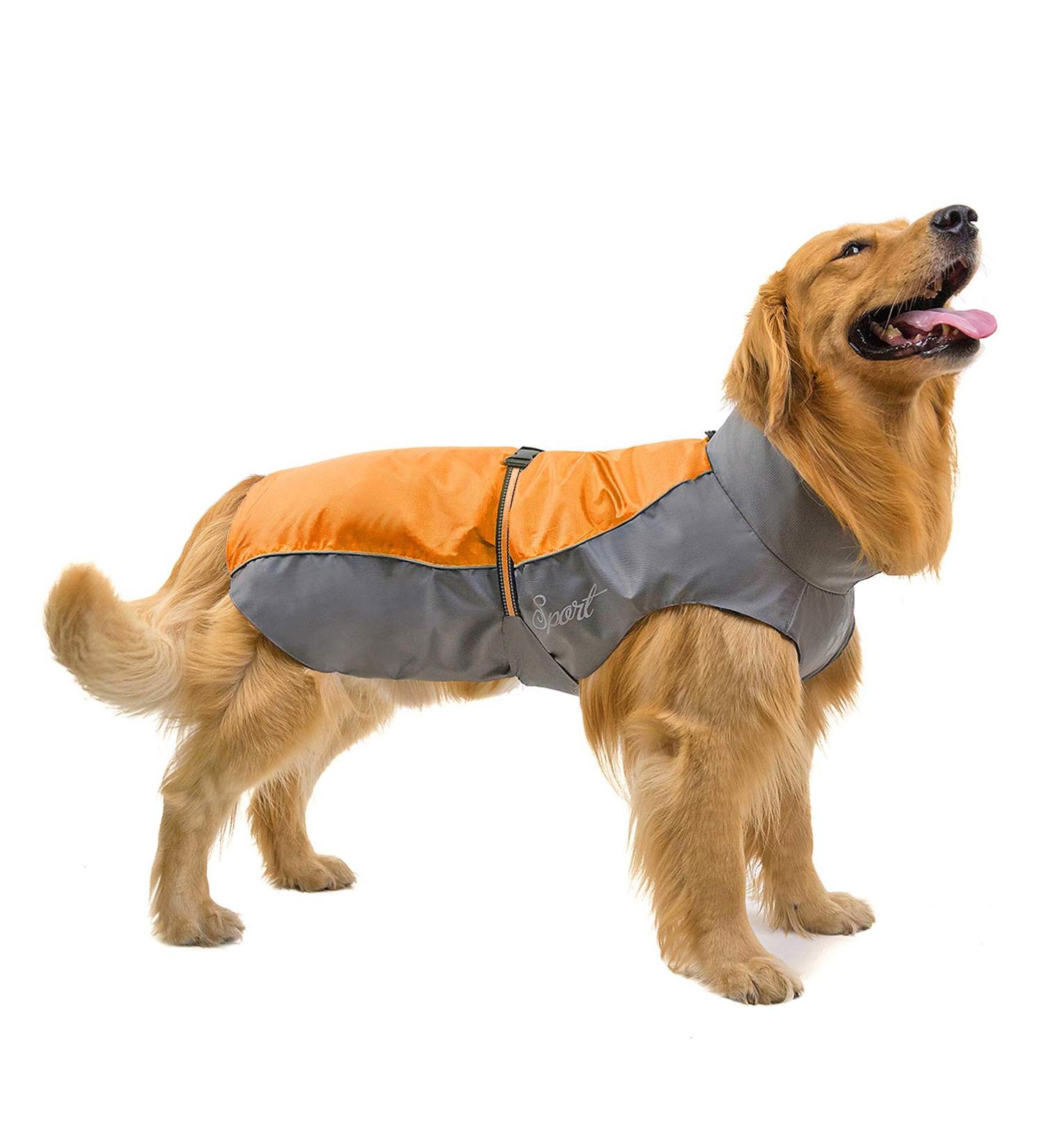 Shop Ranphy Waterproof Dog Raincoat for Medium & Large Dogs | Reflective Breathable Ultralight Jacket for Dachshund & Labrador | Safe Orange 5XL - Buy Online on GoSupps.com
