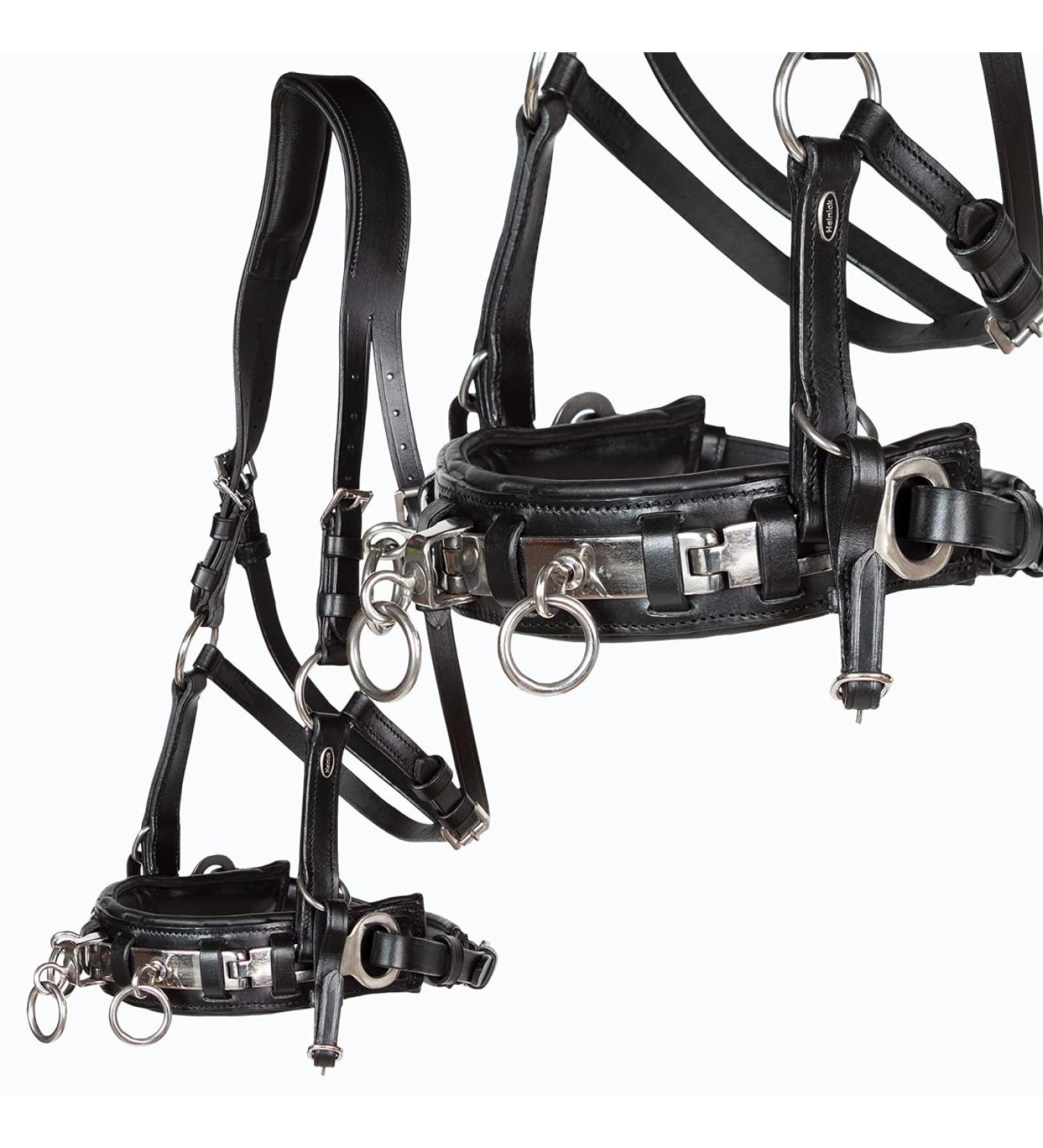 Heinick-Reitsport Professional Leather Cavesson - Black Stainless Steel Bit Strap Nosepiece for Warmbloods | International Shipping - Buy Online on GoSupps.com