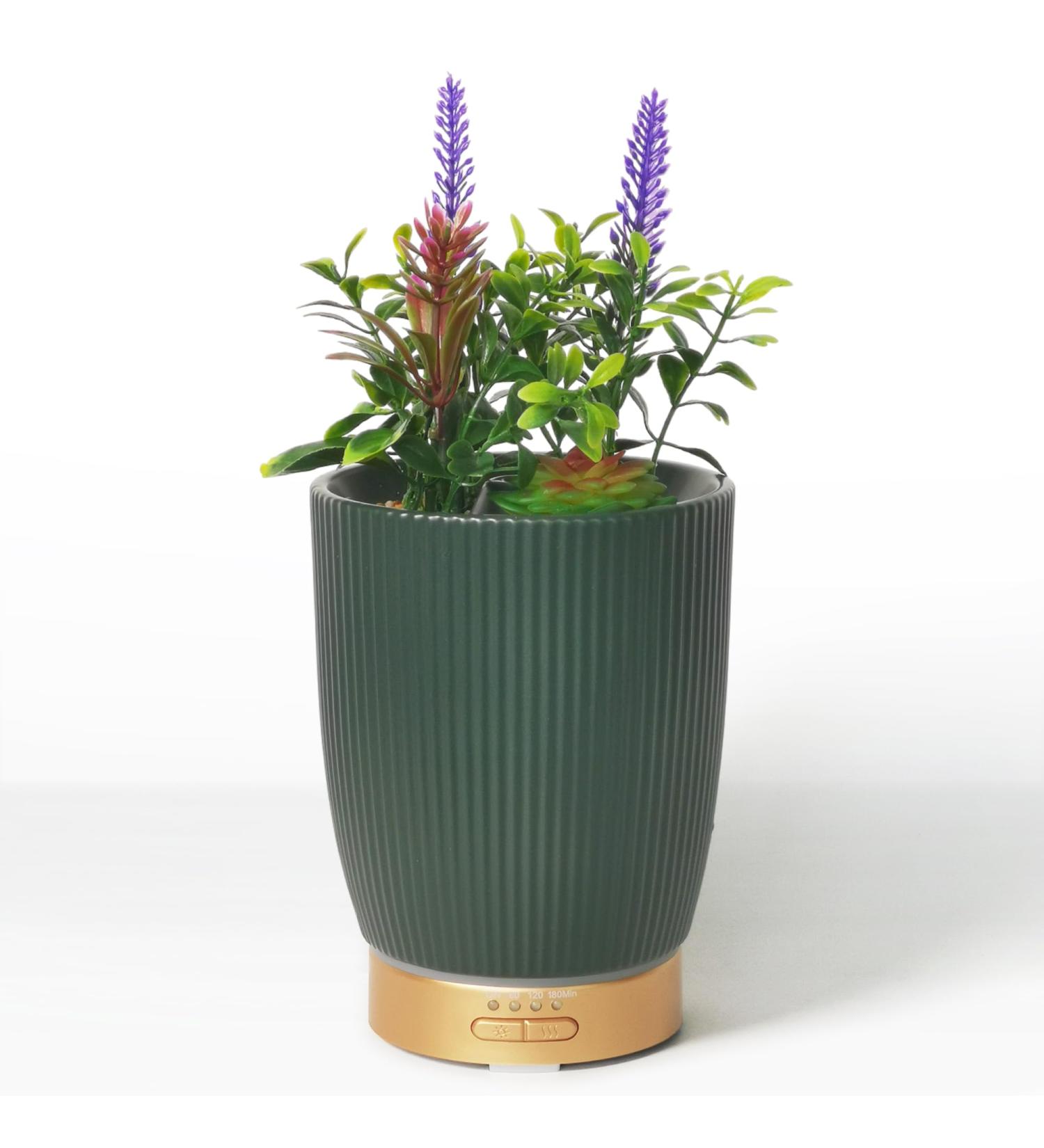Earnest Living Essential Oil Diffuser - Ceramic Succulent Pot 100ml Night Light Timer & Auto-Off Function for Lavender Aromatherapy - Buy Online on GoSupps.com