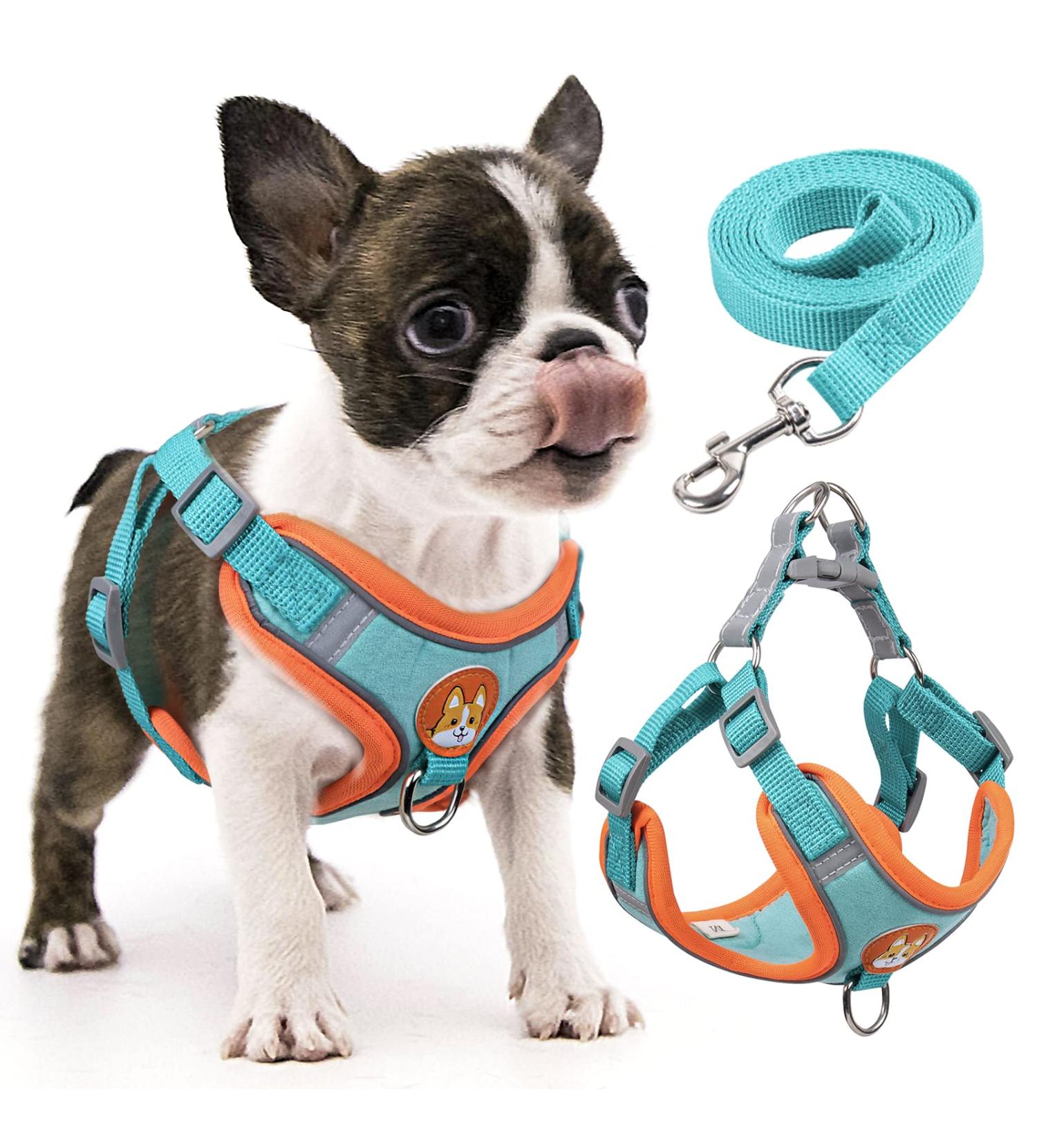 Rennaio No Pull Dog Harness & Leash Set for Small/Medium Dogs - Adjustable Ultra Comfortable with Puppy Dishes & Clips - Seeblau S - Buy Online on GoSupps.com