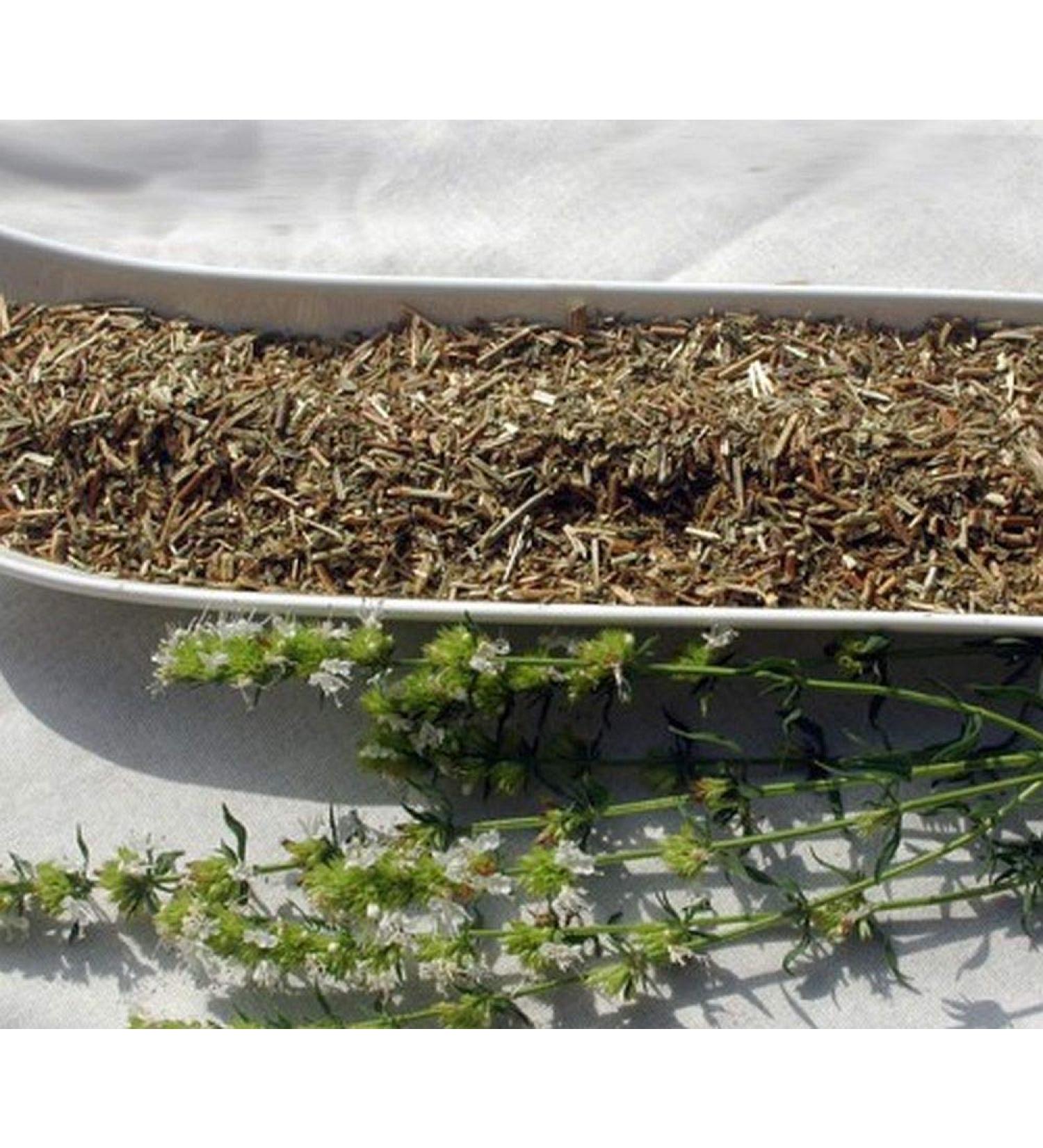 Krauterino24 Krauterino24 - hyssop herb cut hyssop quantity: 250g