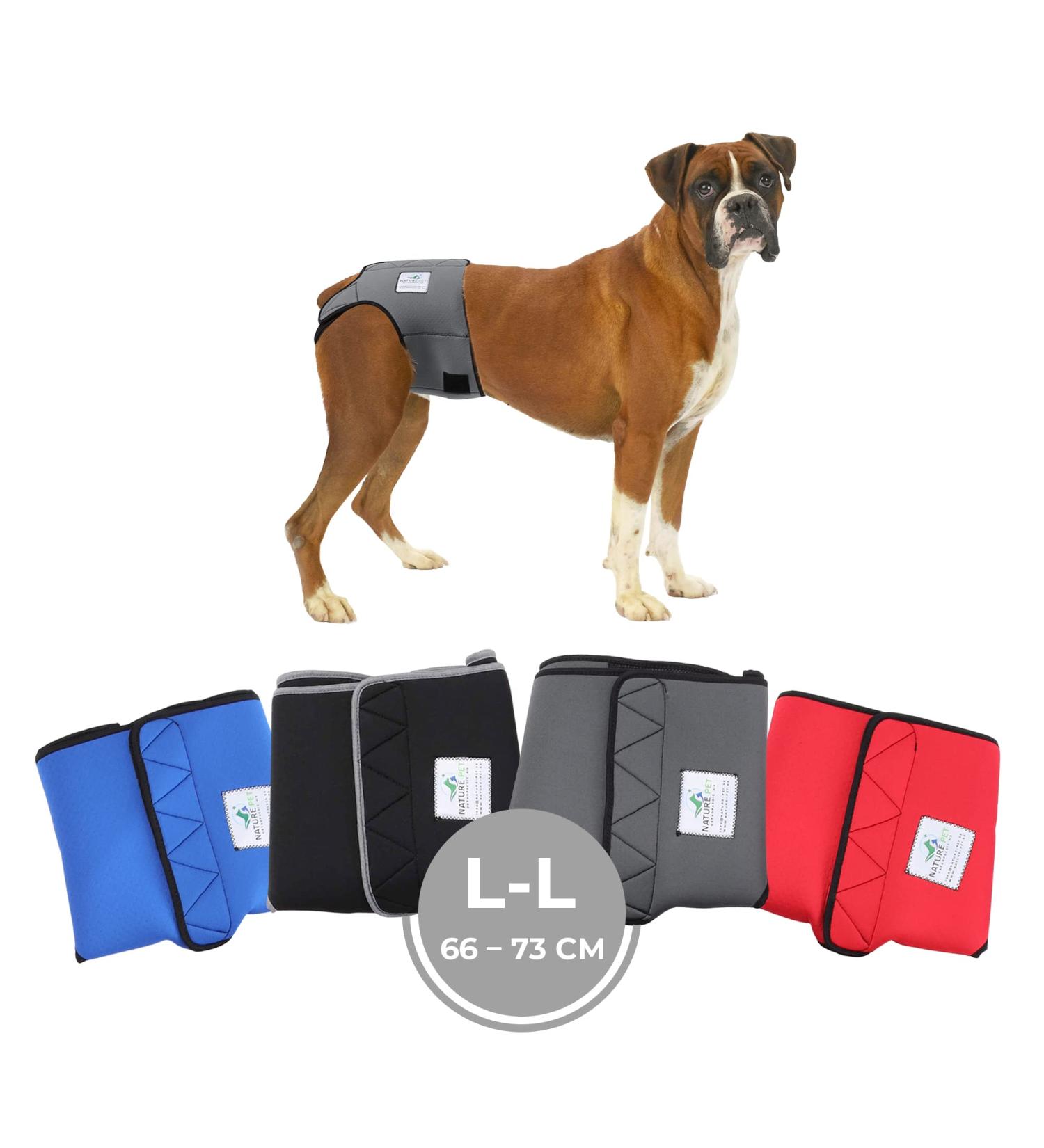 Procedure Pants for Dogs 2.0 - High-Quality Neoprene Dog Diapers for Males | Comfortable & Breathable | Size L - Gray - Buy Online on GoSupps.com