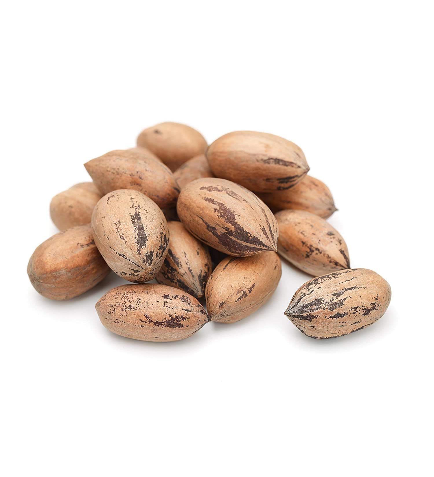 Anna and Sarah Premium Raw Georgian Pecans in Shell 4.5lbs - Fresh and Natural (Pack of 1) - Buy Online on GoSupps.com