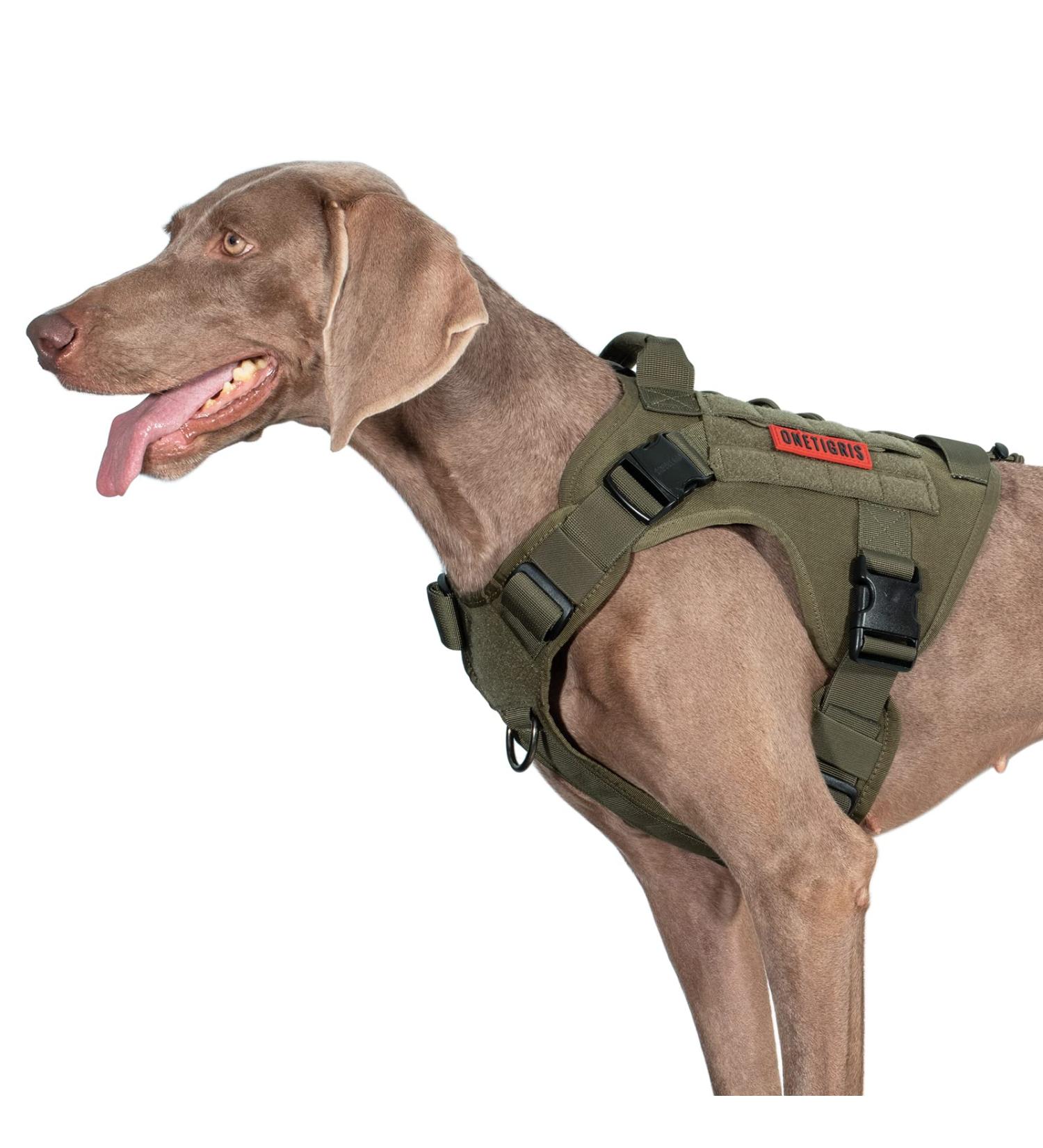 OneTigris Fire Watcher 2.0 Molle Dog Harness with Handle & Metal Buckle - L Green | International Shipping Available - Buy Online on GoSupps.com