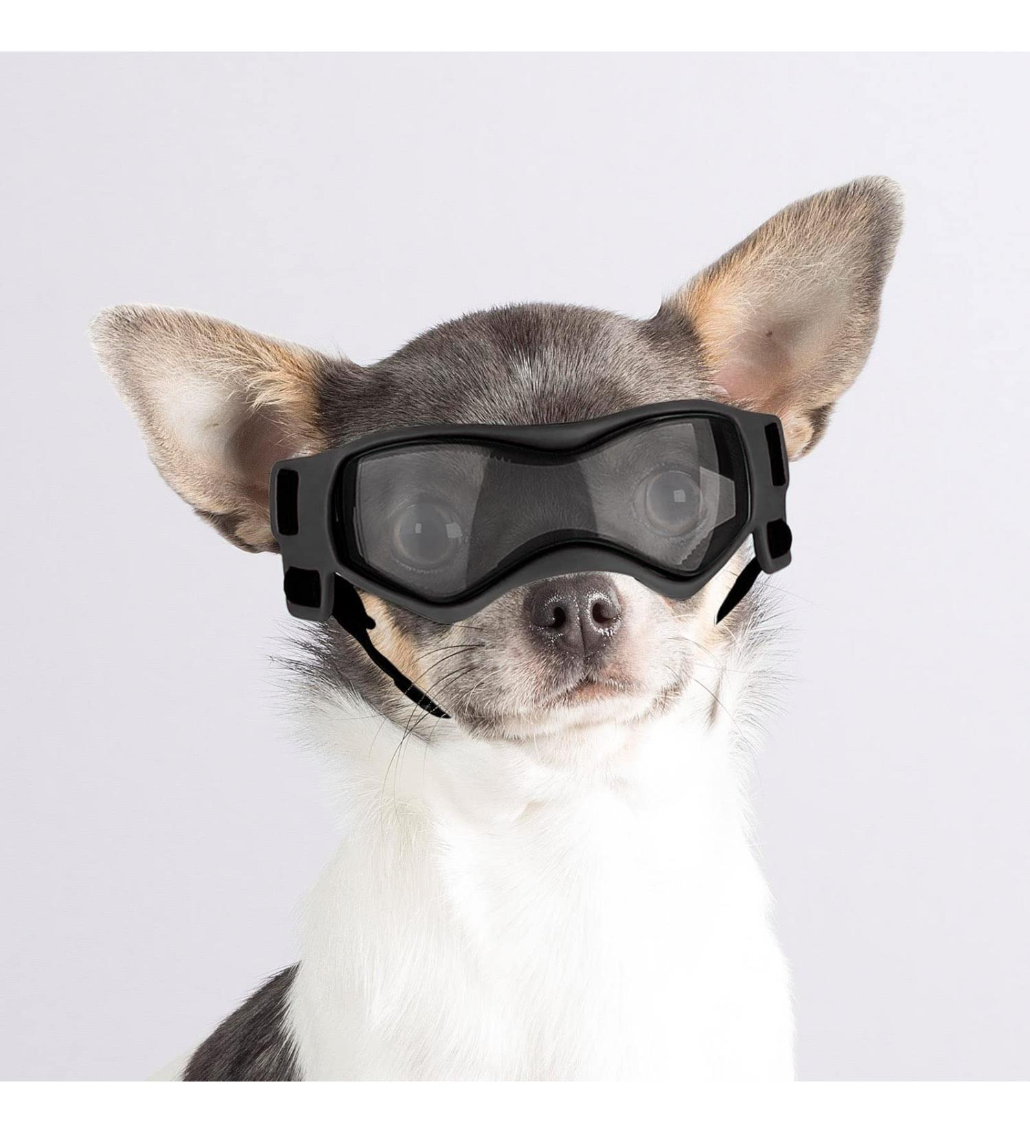 UV Protection Sunglasses for Small Dogs | Cool Black Dog Glasses | Outdoor Eye Protection for Small Breeds - Buy Online on GoSupps.com