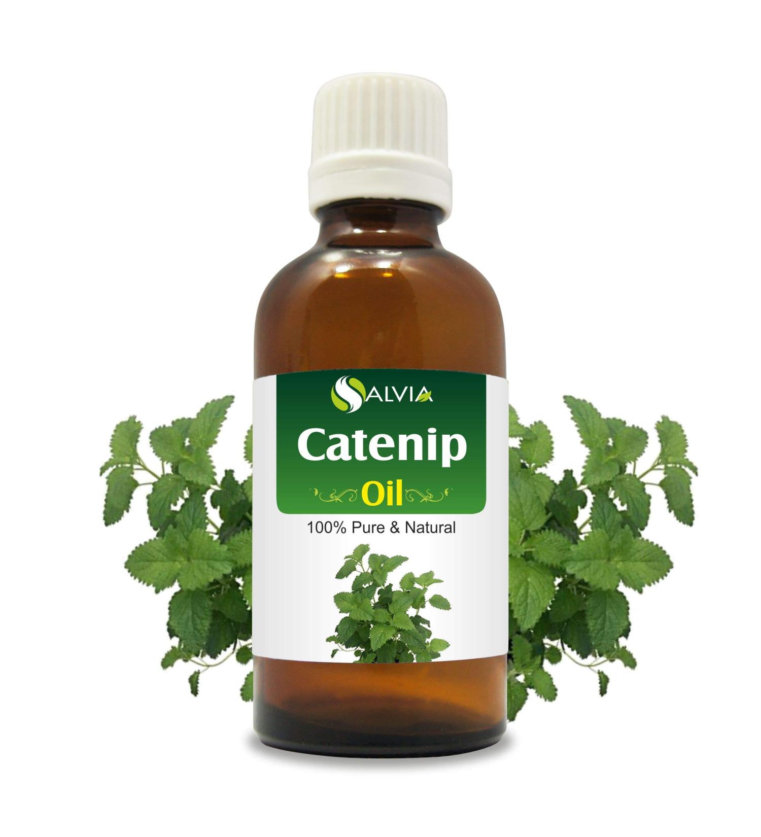 Catnip (Nepeta cataria) Essential Oil 100% Pure & Natural Undiluted Uncut Oil | Best for Aromatherapy (15 ml (0.5 oz))