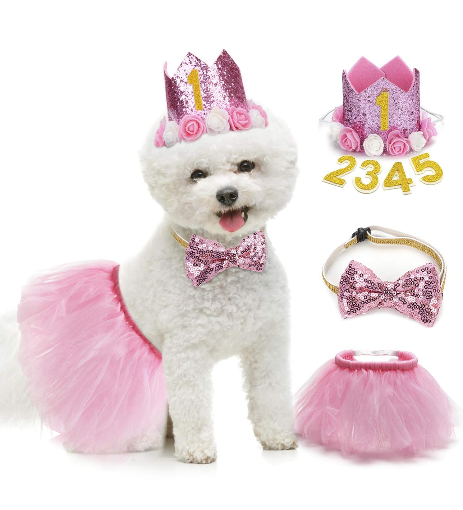 Legendog Dog Tutu Skirt & Birthday Party Supplies - Pink Girl Dog Birthday Outfit with Hat, Bowtie & Dress for Small Dogs - Buy Online on GoSupps.com