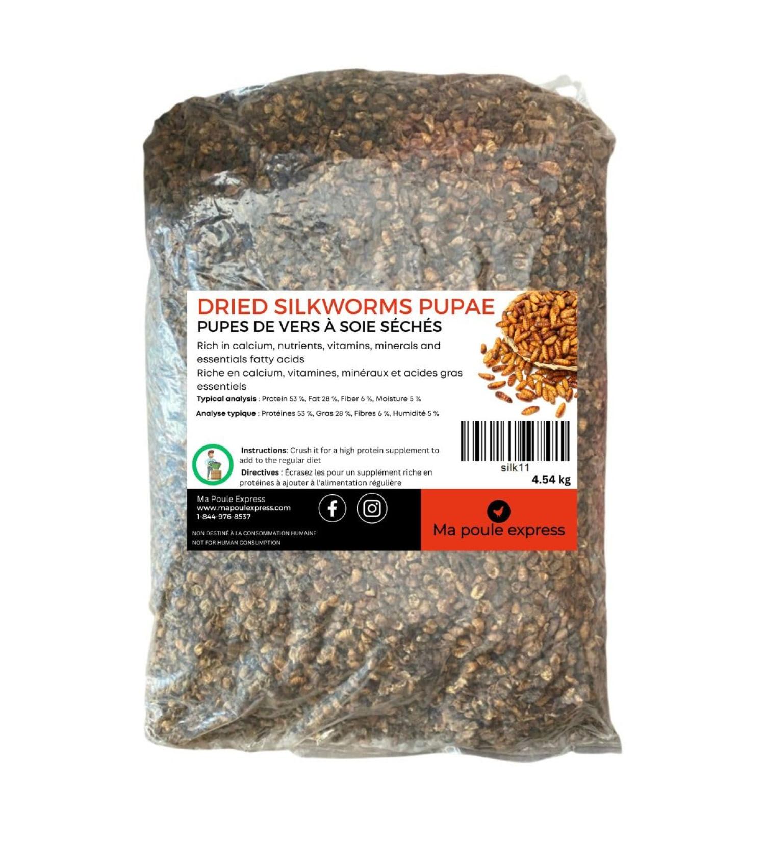 Ma Poule Express Dried Silkworms Pupae Chicken Silkworms Pupae Dried All Natural Bird Food The Ultimate Bird Food High Protein for Wild Birds (5 Lbs) - Buy Online on GoSupps.com