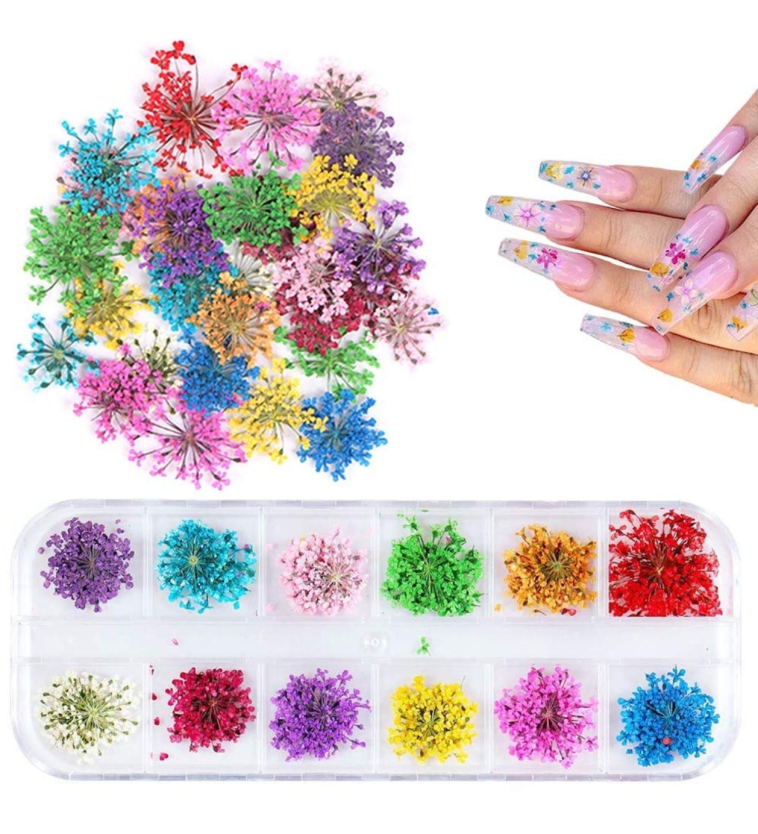 UNIME Dried Flowers for Nail Art - 12 Colors Mini Real Natural Flowers - 3D Nail Decoration Sticker - Gypsophila - Buy Online on GoSupps.com