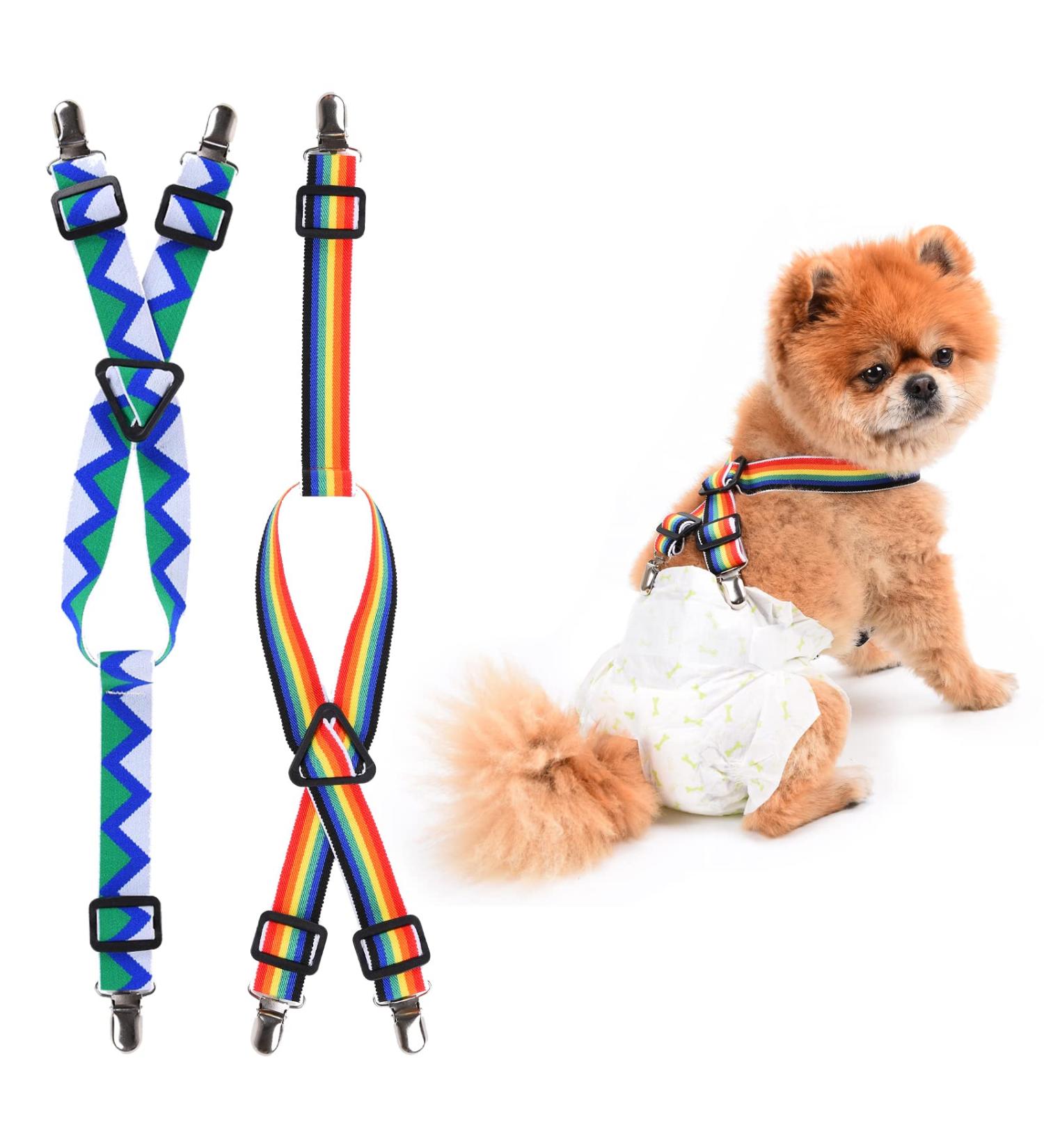 Buy 2-Piece Dog Diaper Trousers & Harness - XL Rainbow & Blue for Female Dogs | Pet Clothing & Belly Straps - Buy Online on GoSupps.com