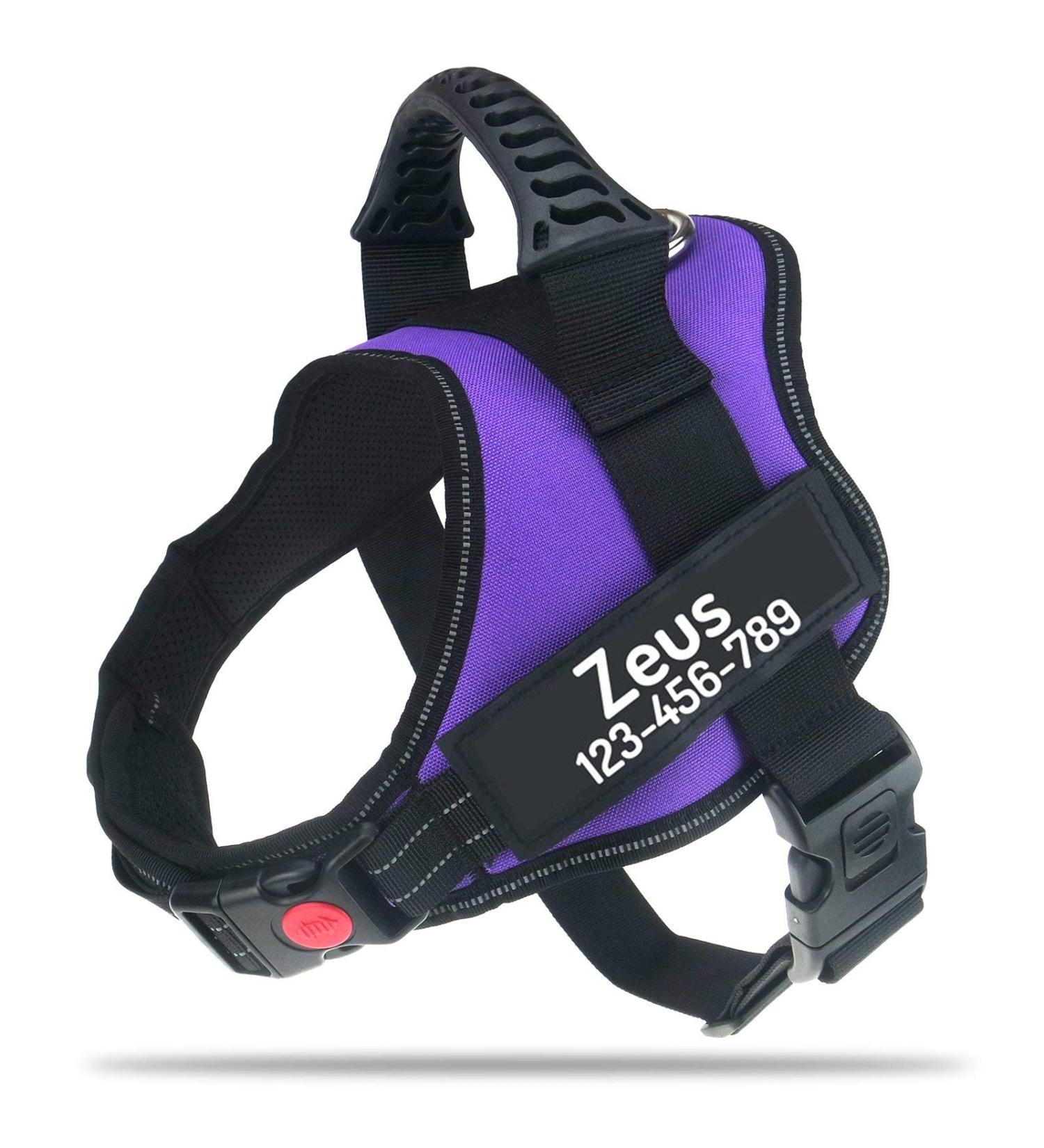 Shop Pawpawify Personalized Dog Harness - No Pull Durable & Comfortable - Training & Walking for Chest 24-31in - Purple - Buy Online on GoSupps.com