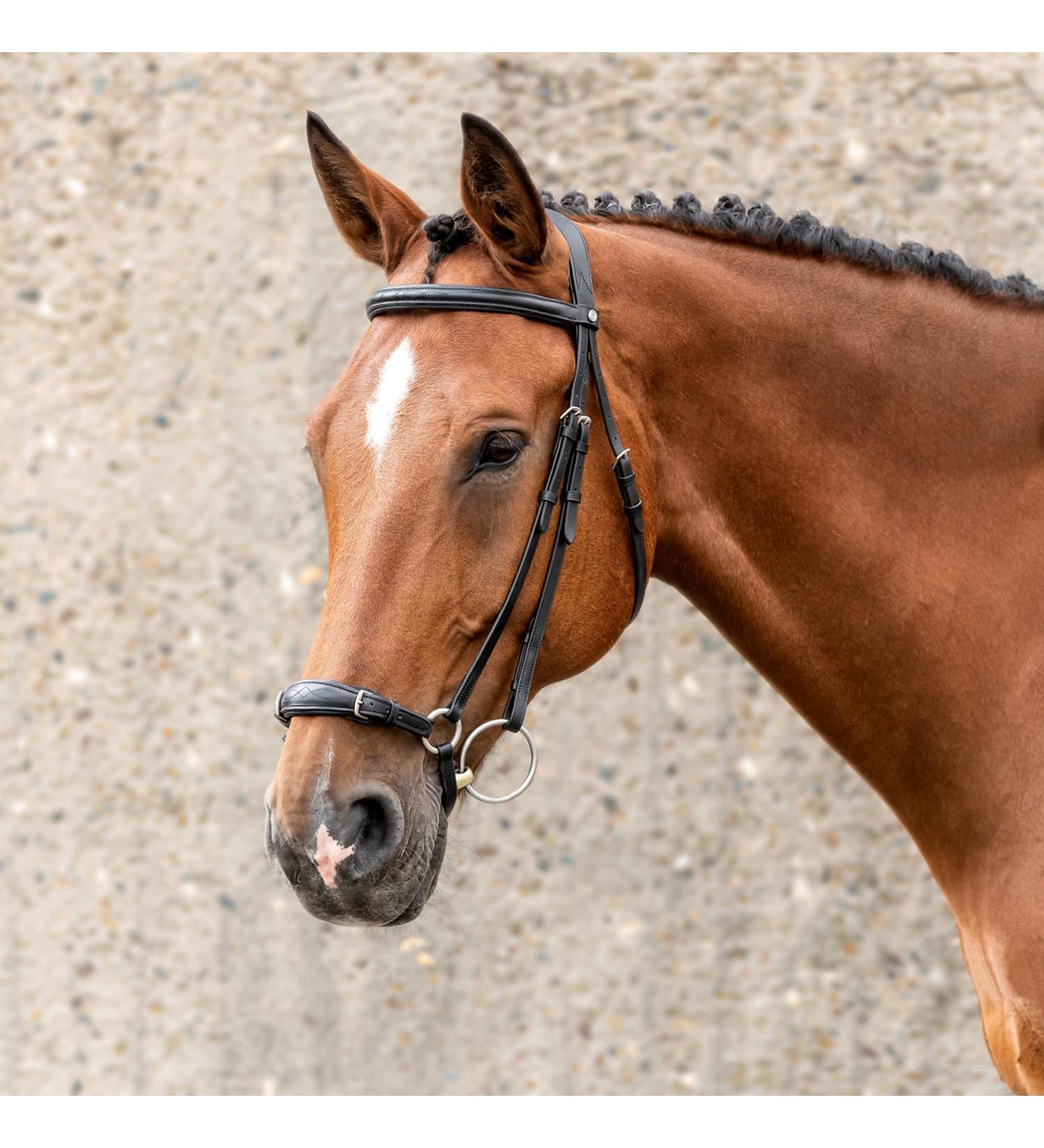 Buy SUNRIDE Hanoverian Bridle & Reins - Premium Leather for Relaxed Riding (Cob Black) | International Shipping Available - Buy Online on GoSupps.com
