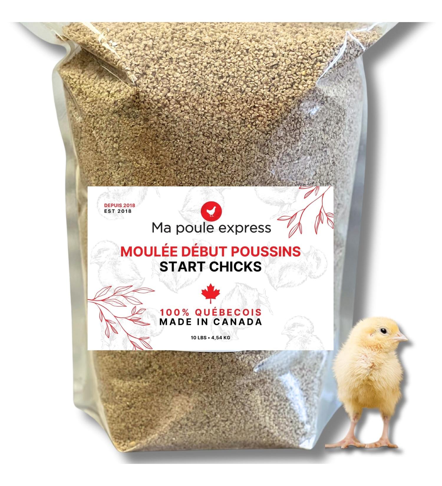 Omega-3 Enriched Starter Feed for Chicks - 10 lbs (4 54kg) - Ma Poule Express - Buy Online on GoSupps.com