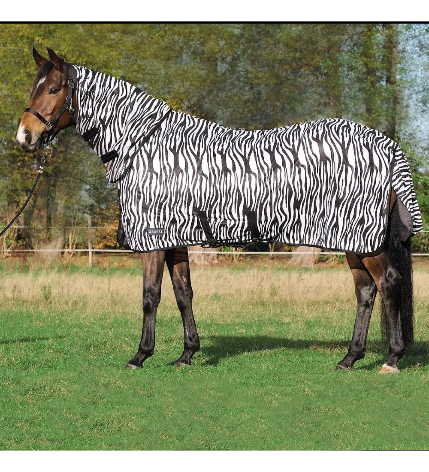 Buy Paddock Fly Sheet Comfort Pro Zebra 155 | Best International Shipping | Protect Your Horse from Flies - Buy Online on GoSupps.com