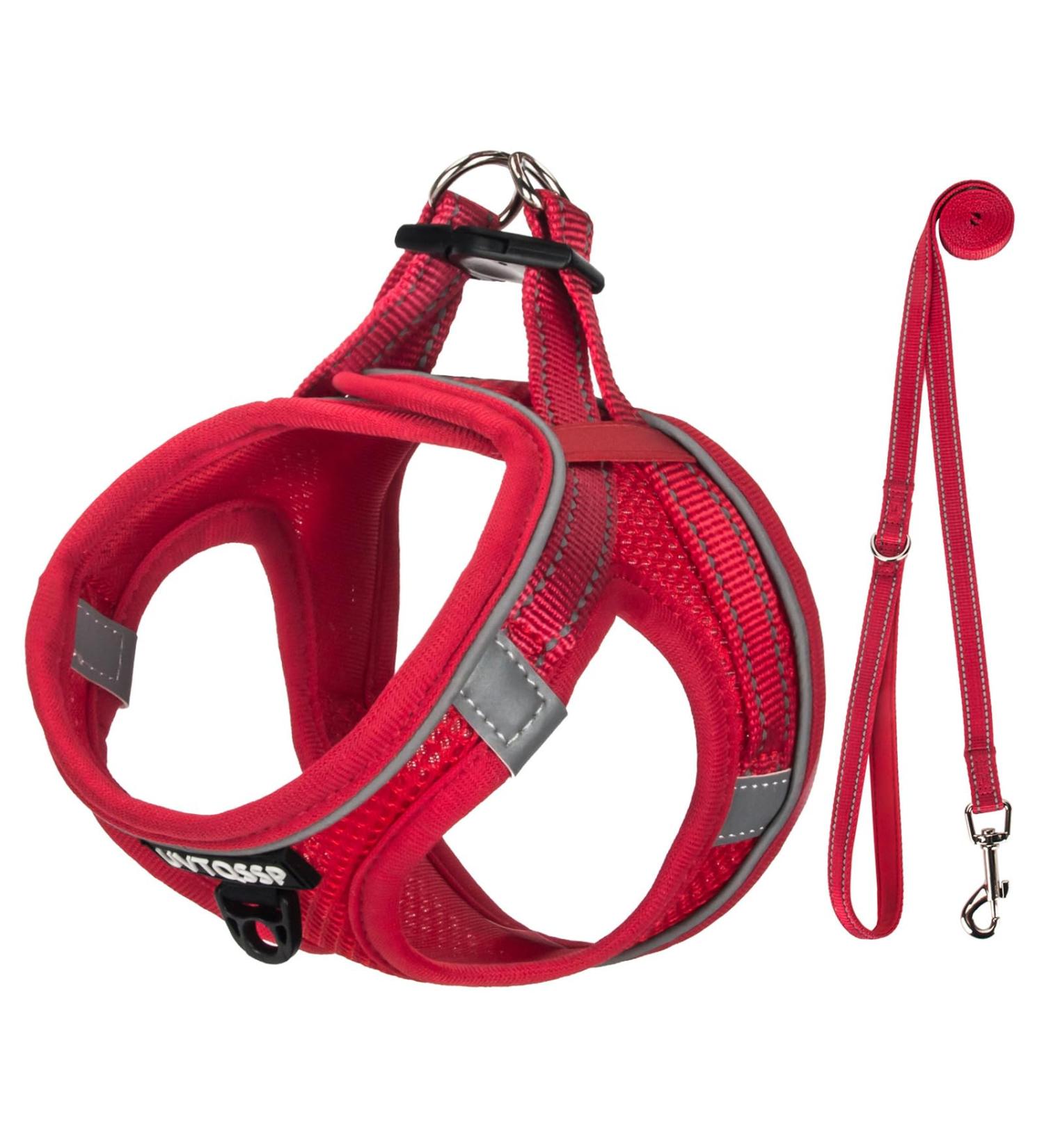 Buy Red Padded Dog Harness for Small Dogs | Comfortable XS Puppy Harness - Shop Now! - Buy Online on GoSupps.com