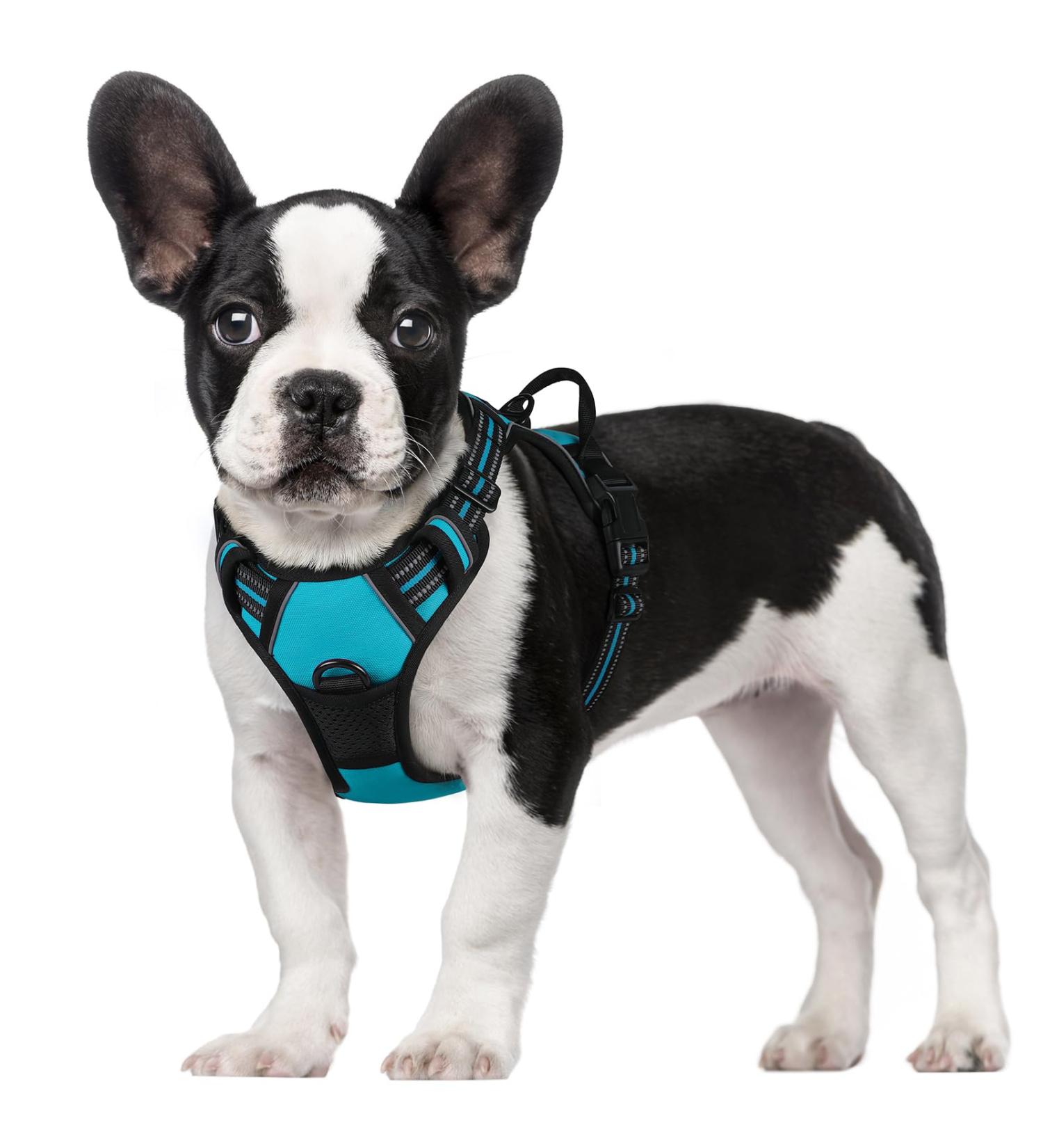 Rabbitgoo Medium Dog Harness - No Pull Adjustable Control Harness for Large Dogs Breathable & Safe Blue-Green (1 Pack) - Buy Online on GoSupps.com