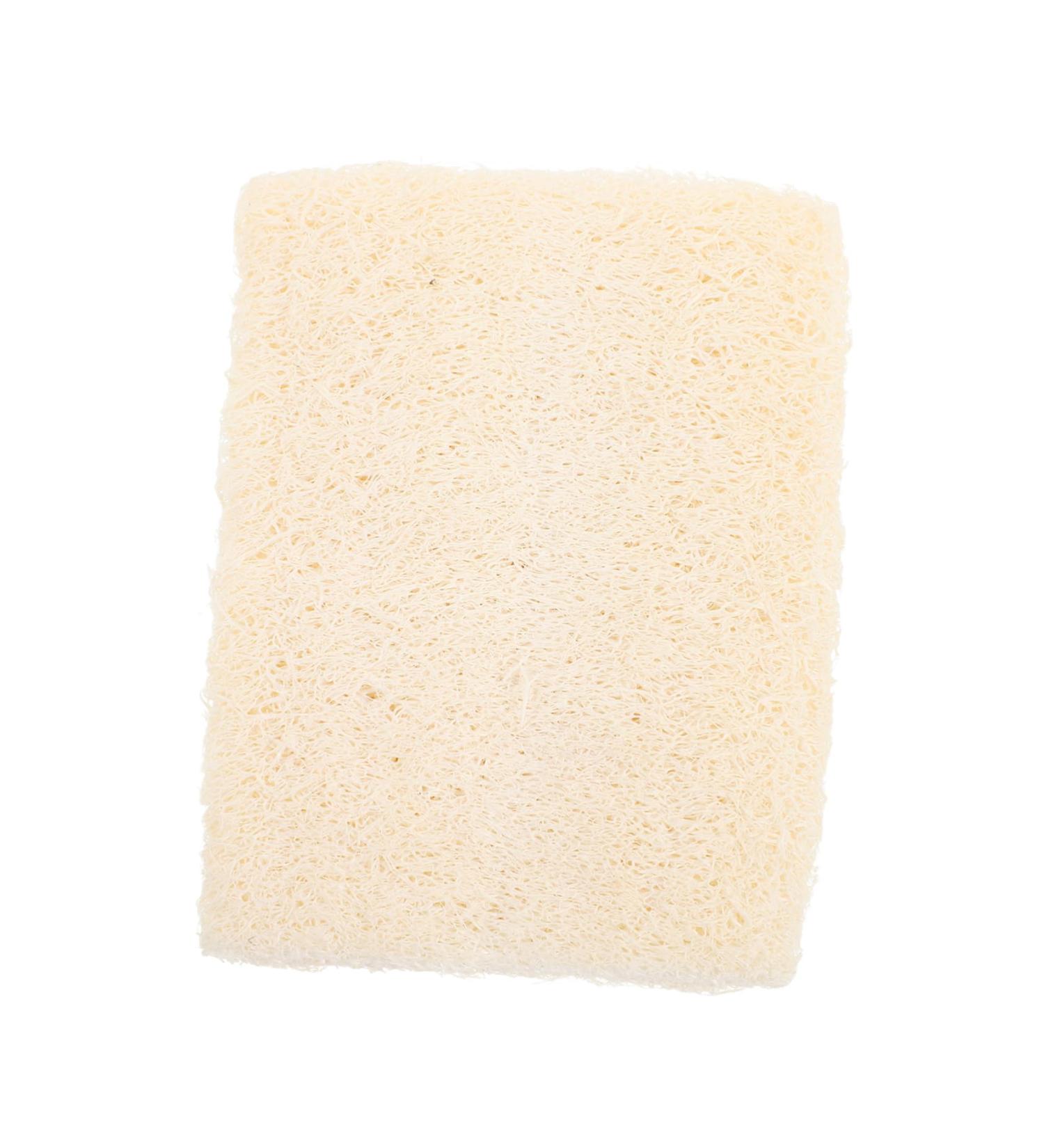 Loofah Back Brush Head - Travel Shower Scrubber for Body Rich Foaming Bath Cleanser | International Shipping Available - Buy Online on GoSupps.com