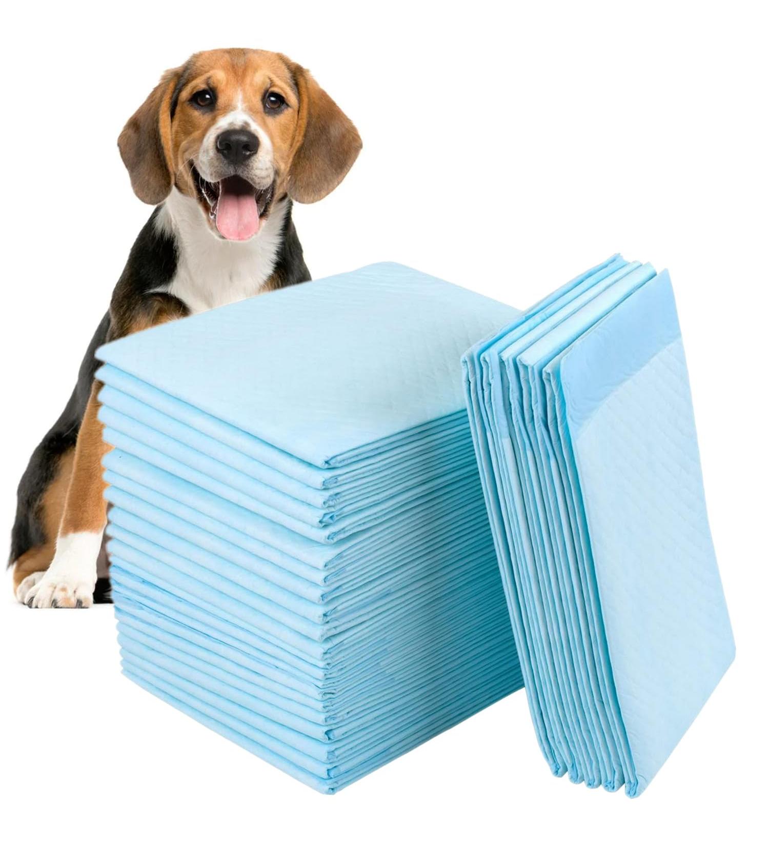 40 Count Dog Training Pads Extra Large Puppy Pads Disposable Absorbent & Leak-Proof XL Pet Pee Pads Housebreaking Supplies for Large Dogs Puppies Cats Rabbits and Kids - 36x32 Inch Blue - Buy Online on GoSupps.com