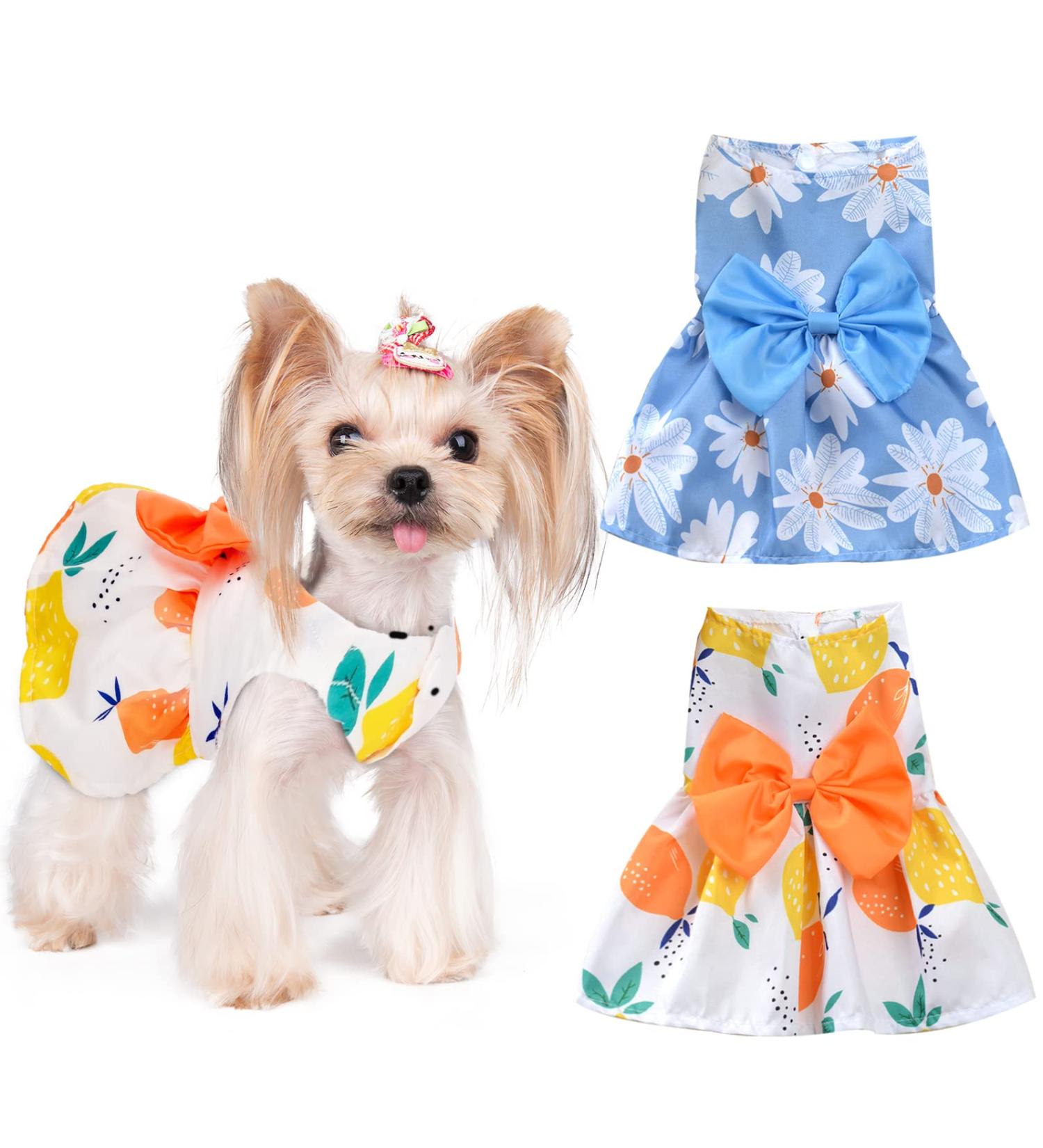 X-Small Princess Flowers Tutu Dog Dress for Small Dogs - Blue+Yellow - Buy Online on GoSupps.com
